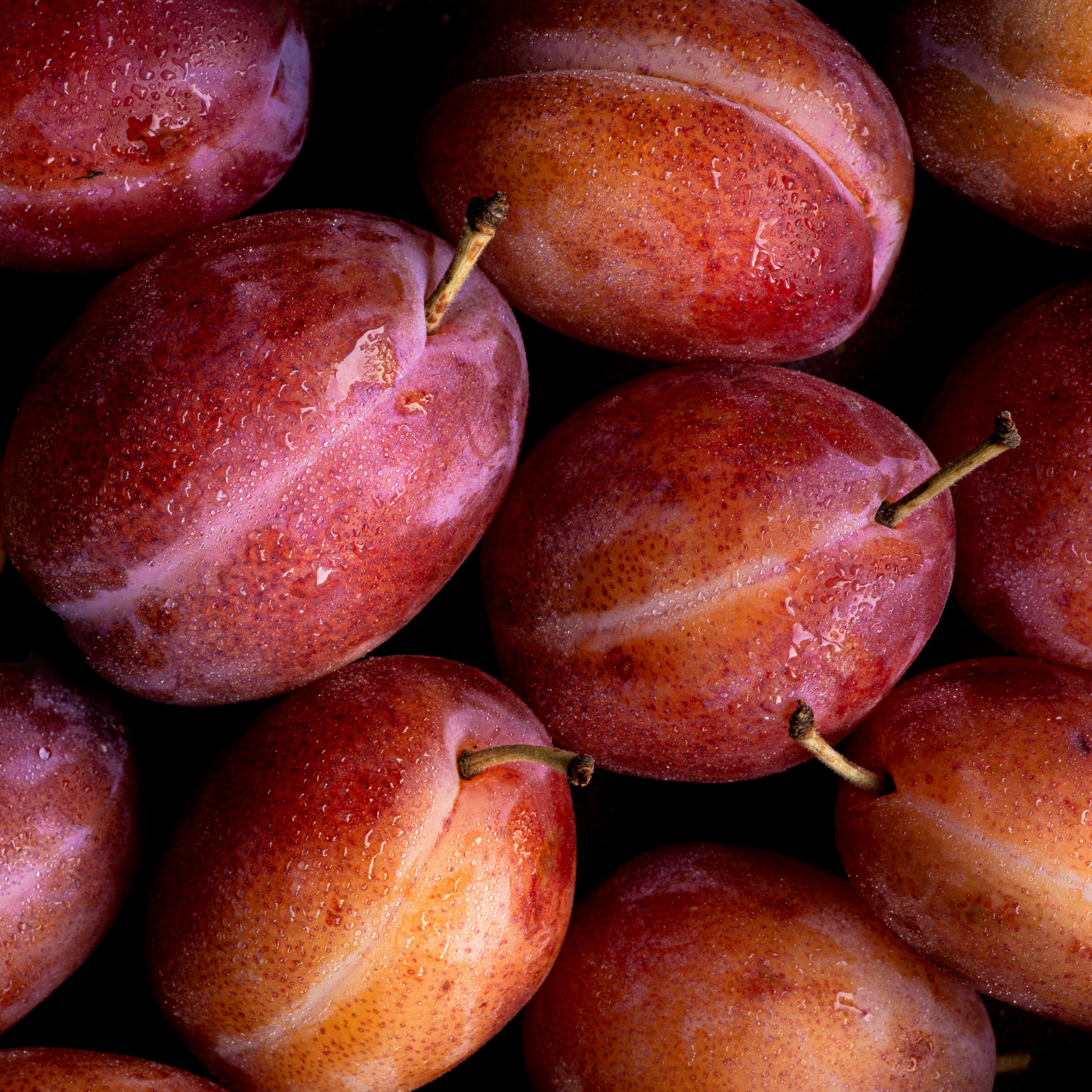 Proč je Fil d’Or №1 možná nejlepší tabákovou vůní Laurenta Mazzoneho