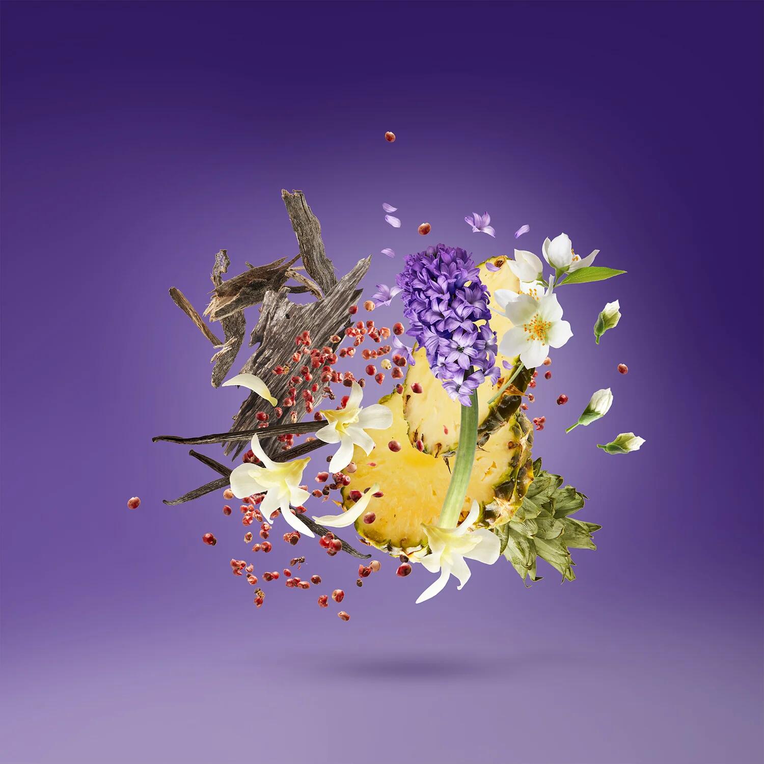 xerjoff purple accento