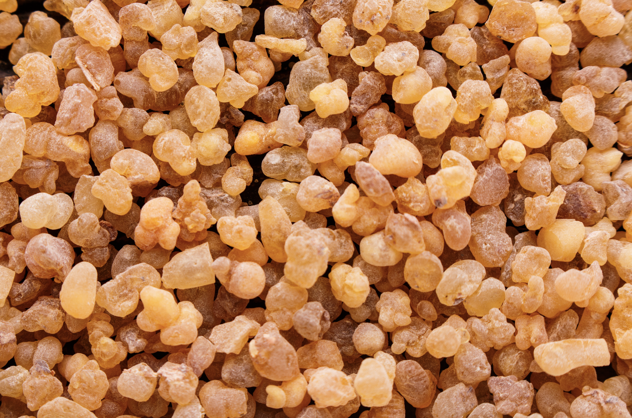 Perfumer Sophie Labbé on Ambre Saba: Ambergris, Warm Amber, and DSM-Firmenich Captives 
