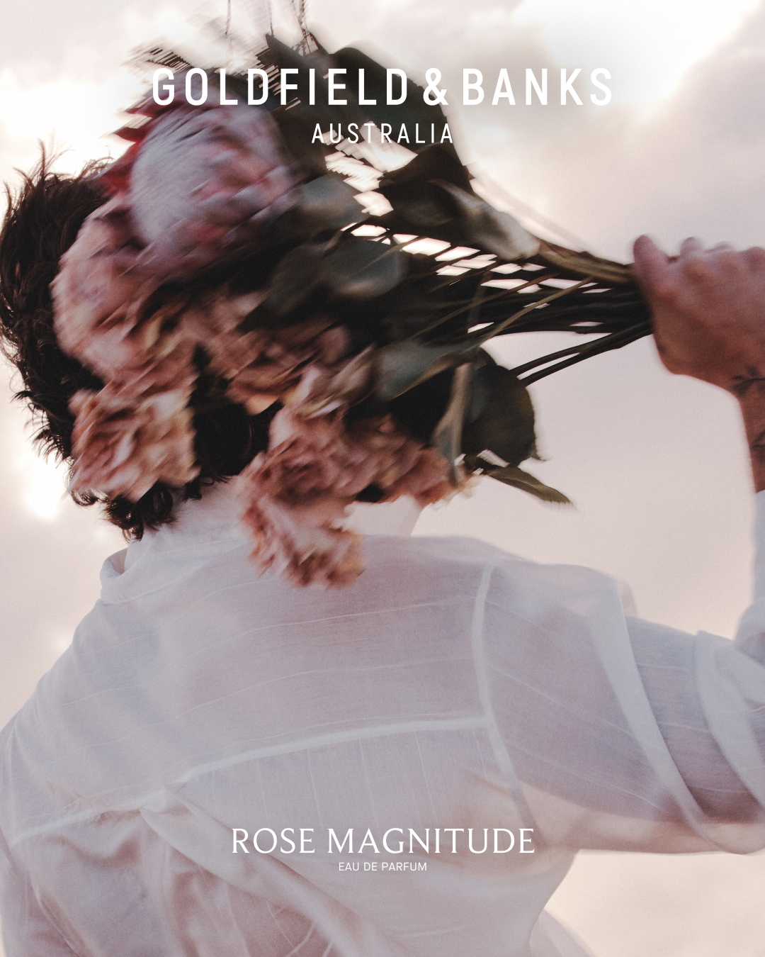 Rose Magnitude Goldfield & Banks