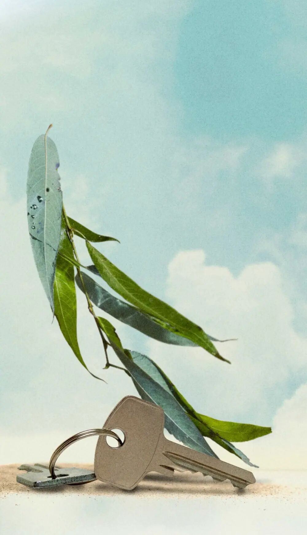 New From DS & Durga: Big Sur Eucalyptus and Studio Juice Spectral Doorway ~ Niche Perfumery