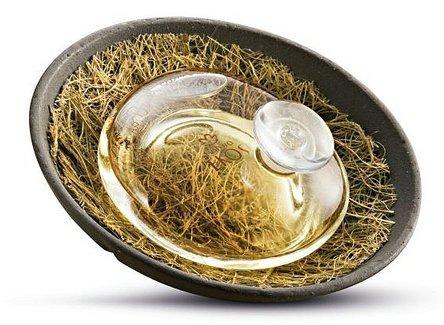 Priprioca The Light Woody And Floral Scent Of The Forest Raw Materials