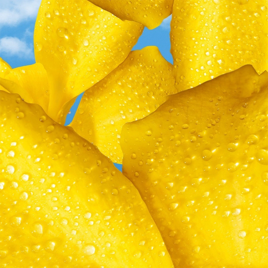 ESCADA Yum Me, Sunny!