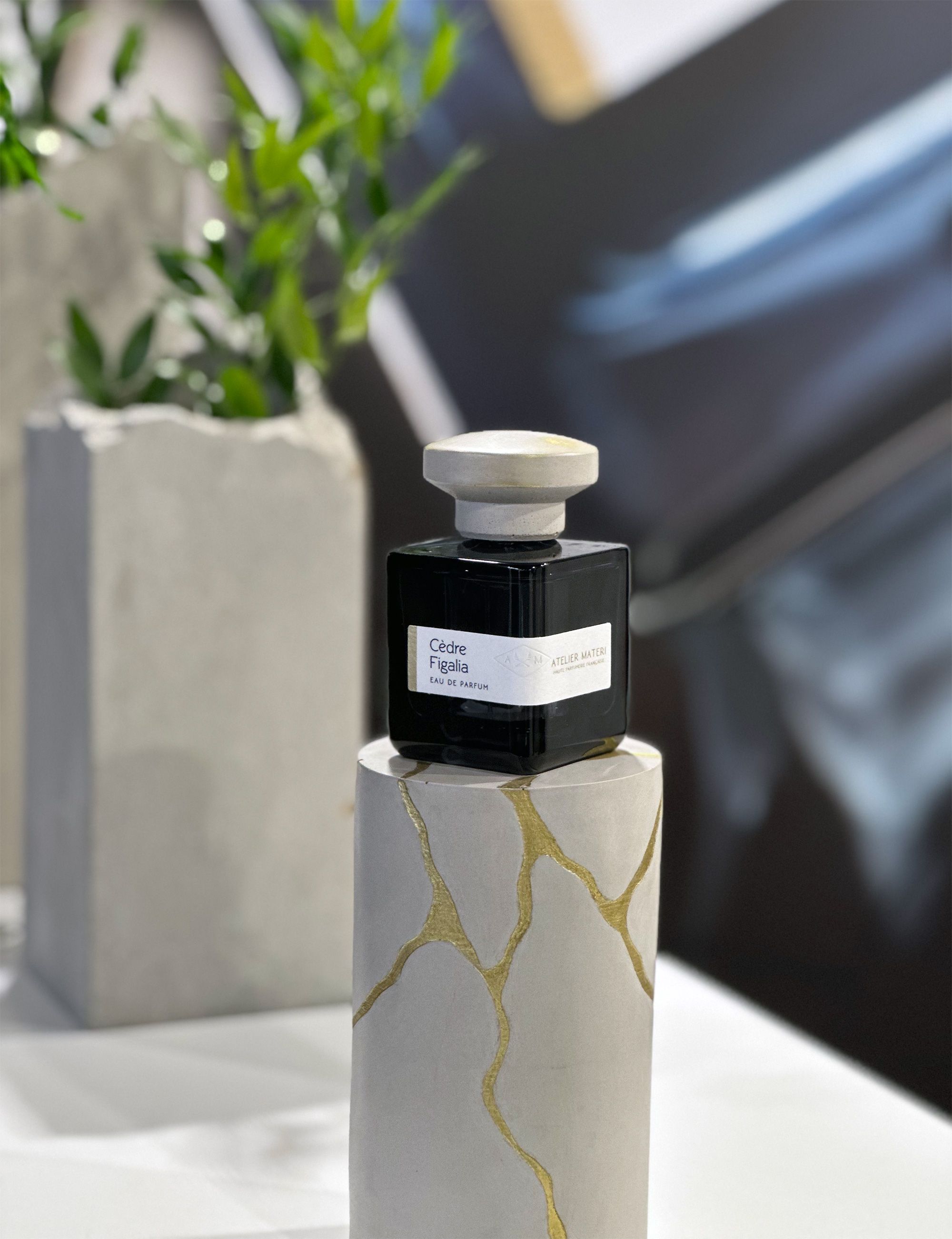 JUN　ATELIER MATERI Cedre Figalia Cedre Figalia - Vegetal, Woody Fragrance - ATELIER MATERI