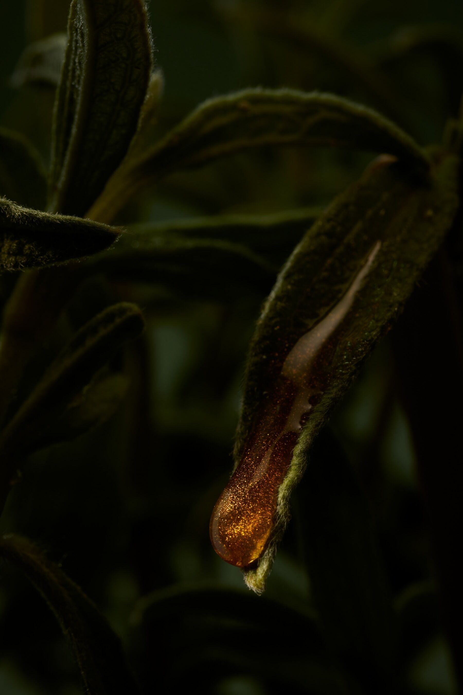 Kůže stékající třpytivou tekutinou