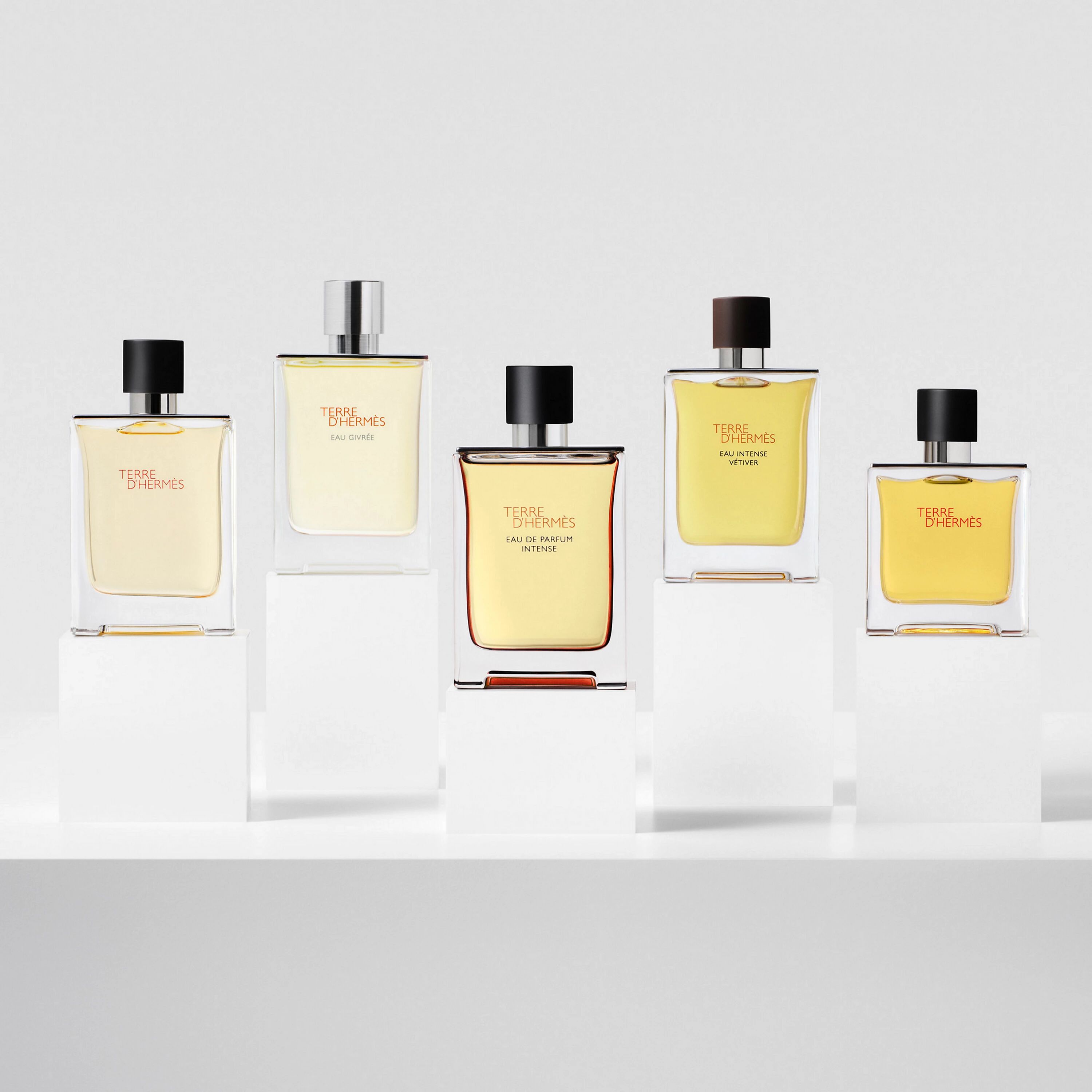 Coffee, Licorice, and Air: What’s the Secret Behind the New Terre d’Hermès Eau de Parfum Intense?