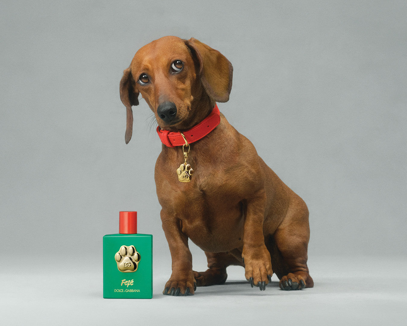 Fefé Dolce&Gabbana