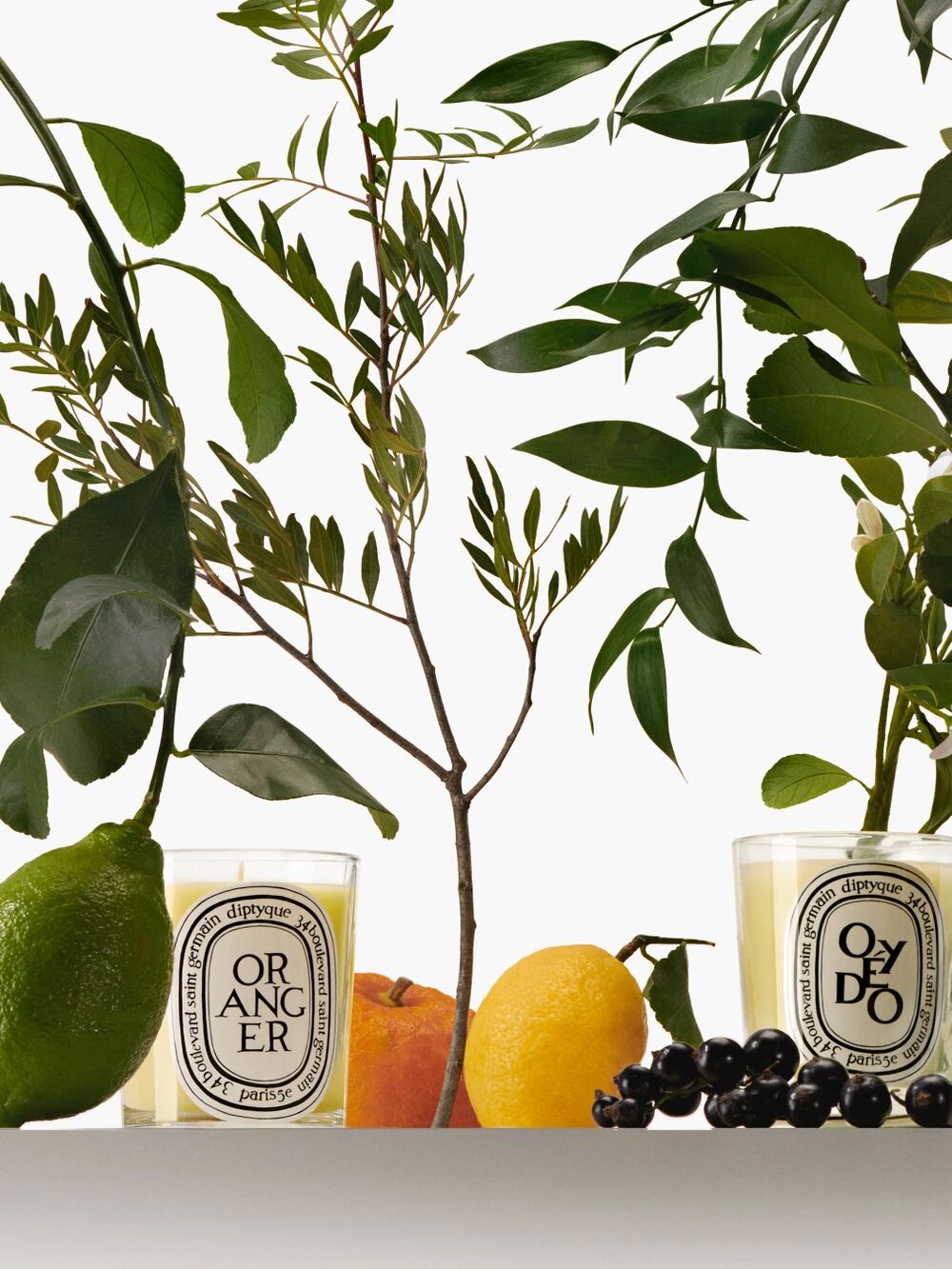 diptyque candles and herbs and stems