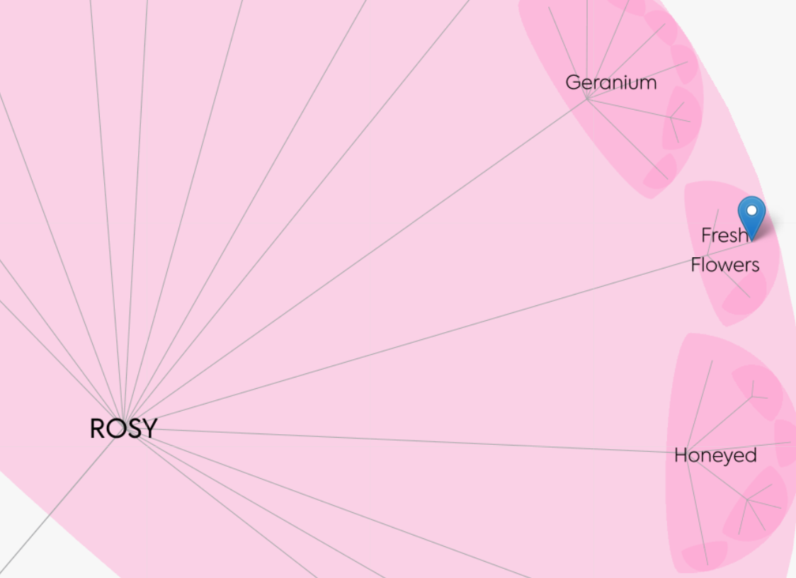 Example Scentree tool Rosa Damascena