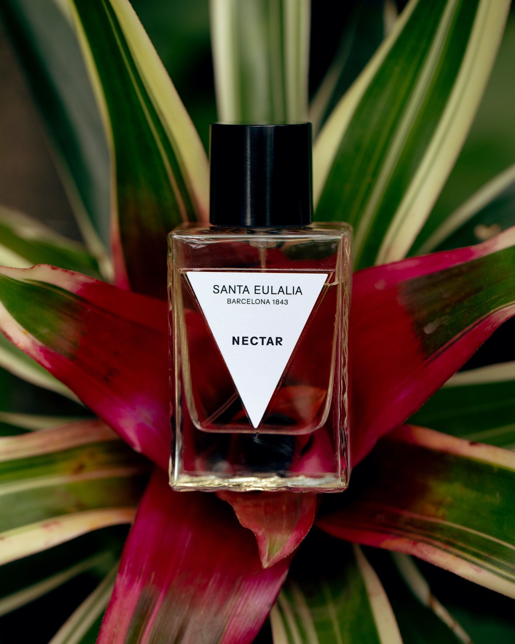A bottle of Nectar at the centre of a tropical flower