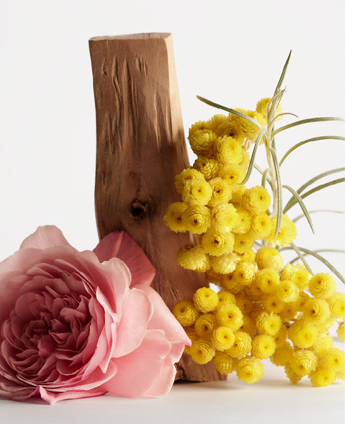 Frédéric Malle Contre-Jour