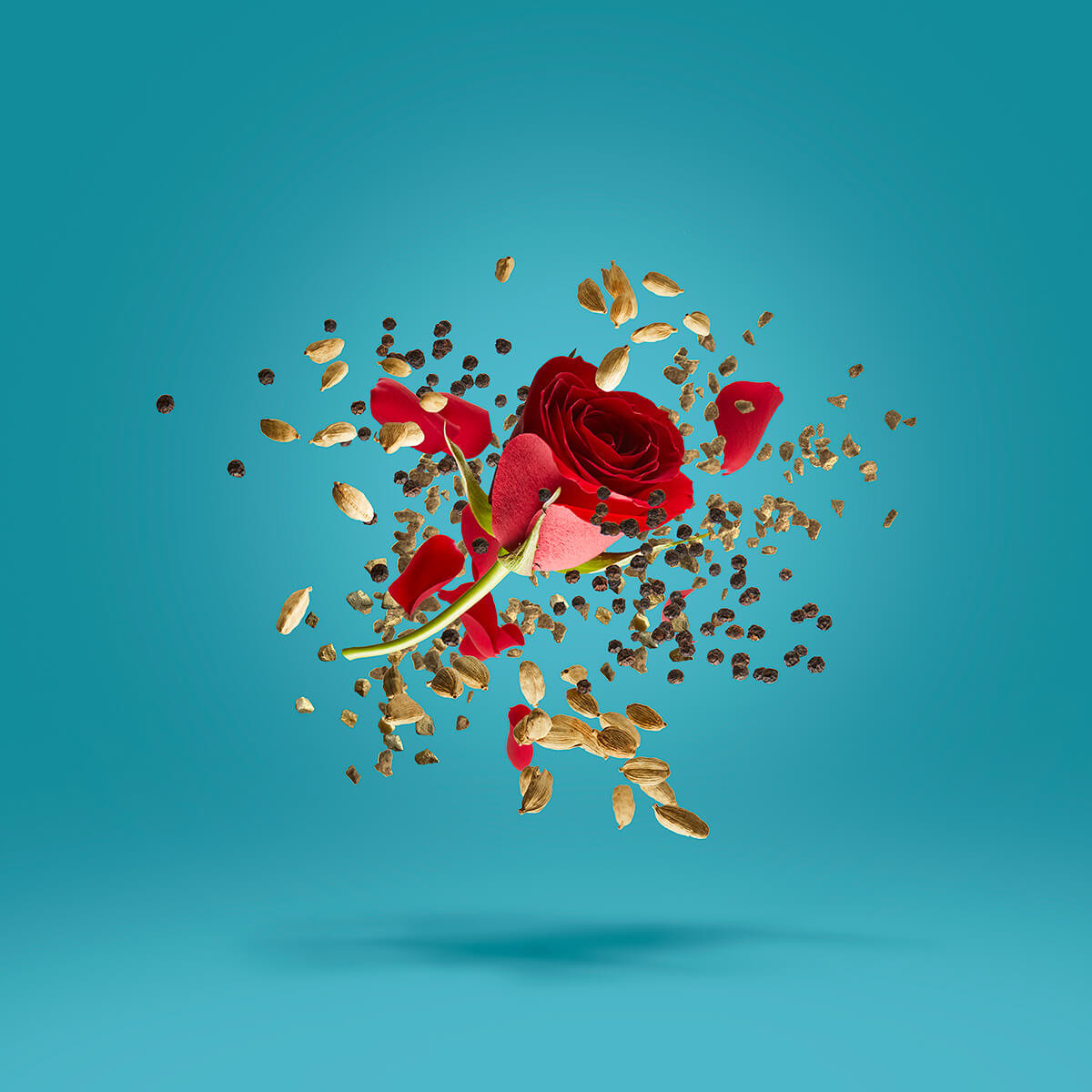 xerjoffova drážka xcape