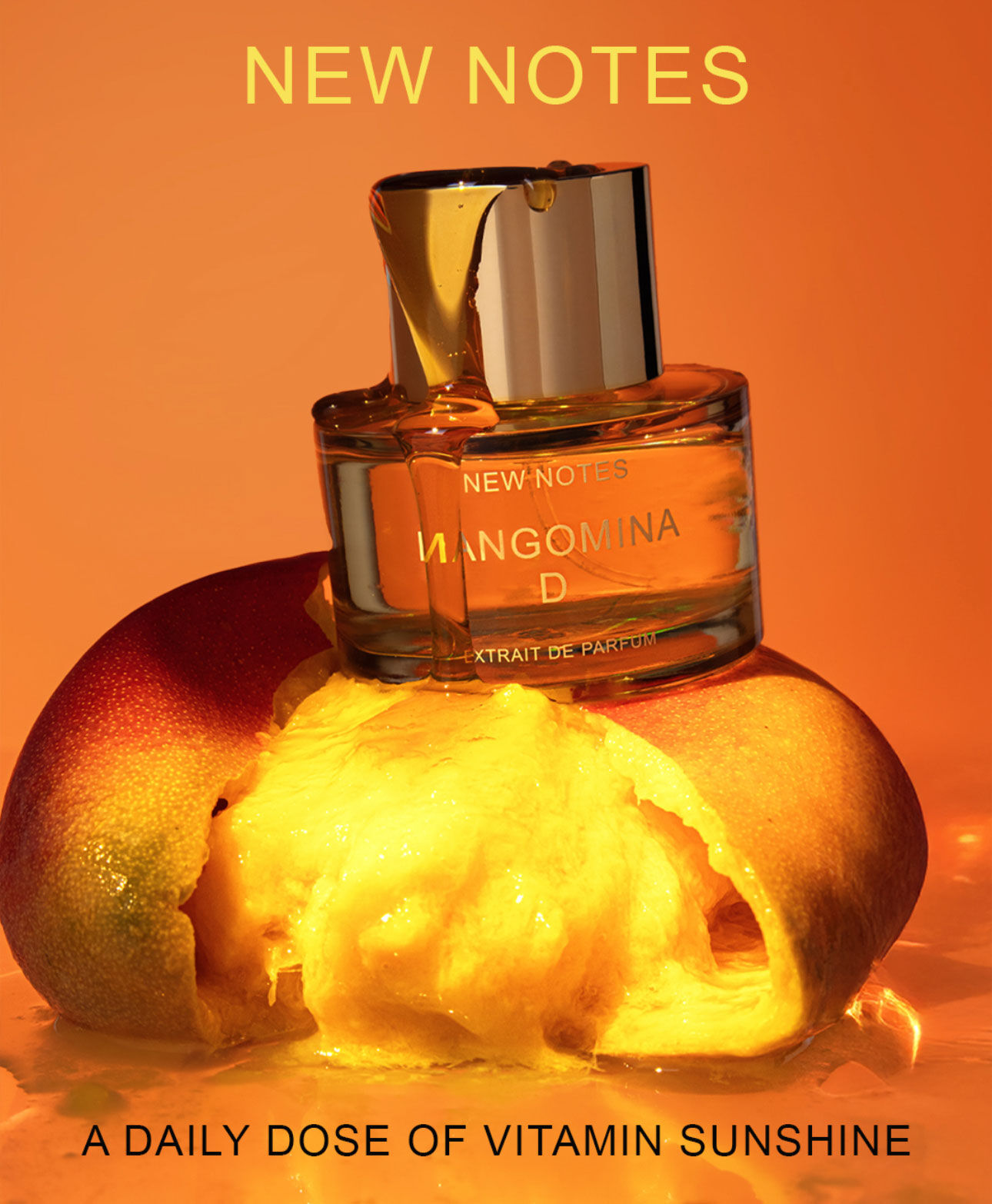 new notes mangomina d