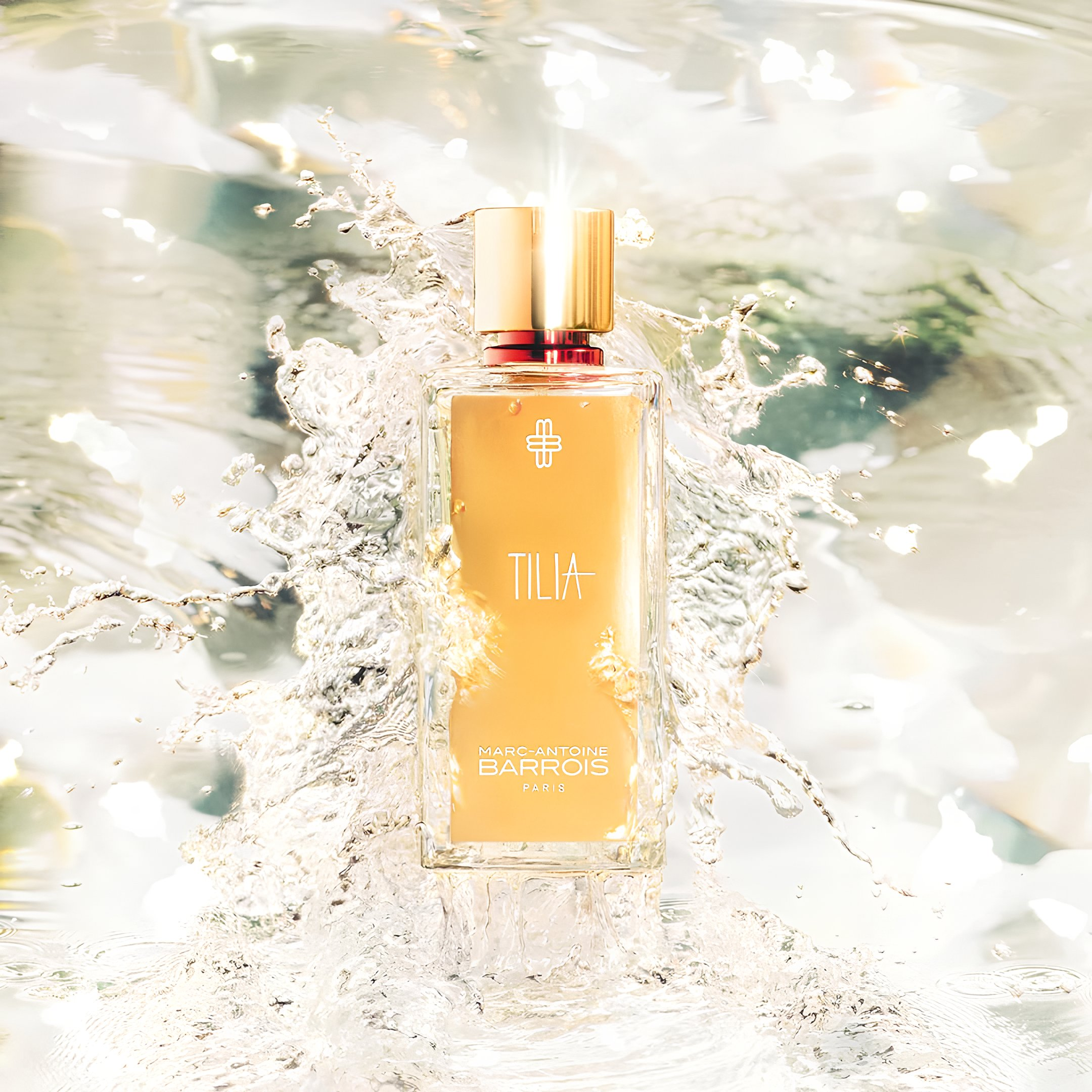 Tilia от Marc-Antoine Barrois