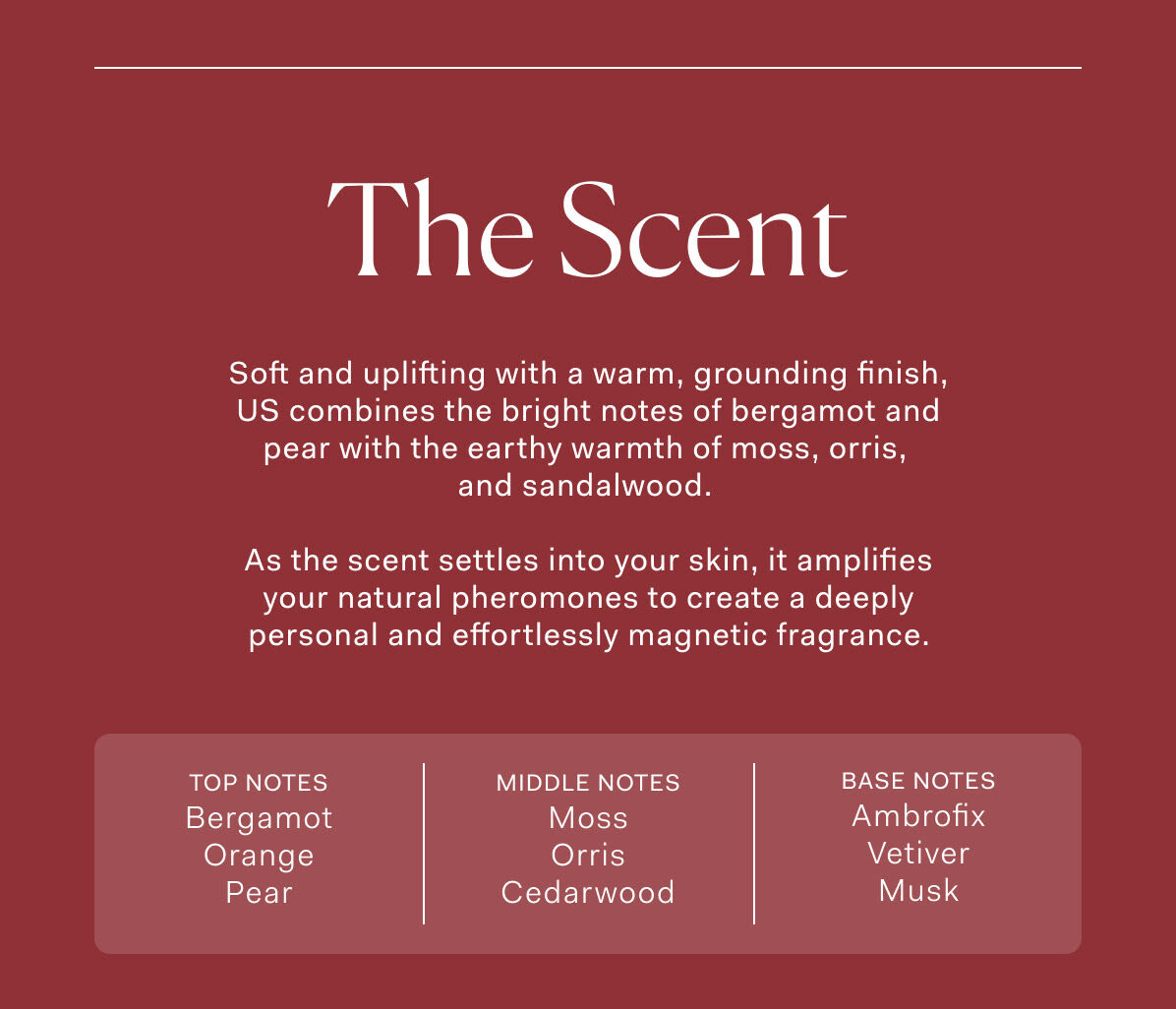 Notes of Us by The Nue Co.