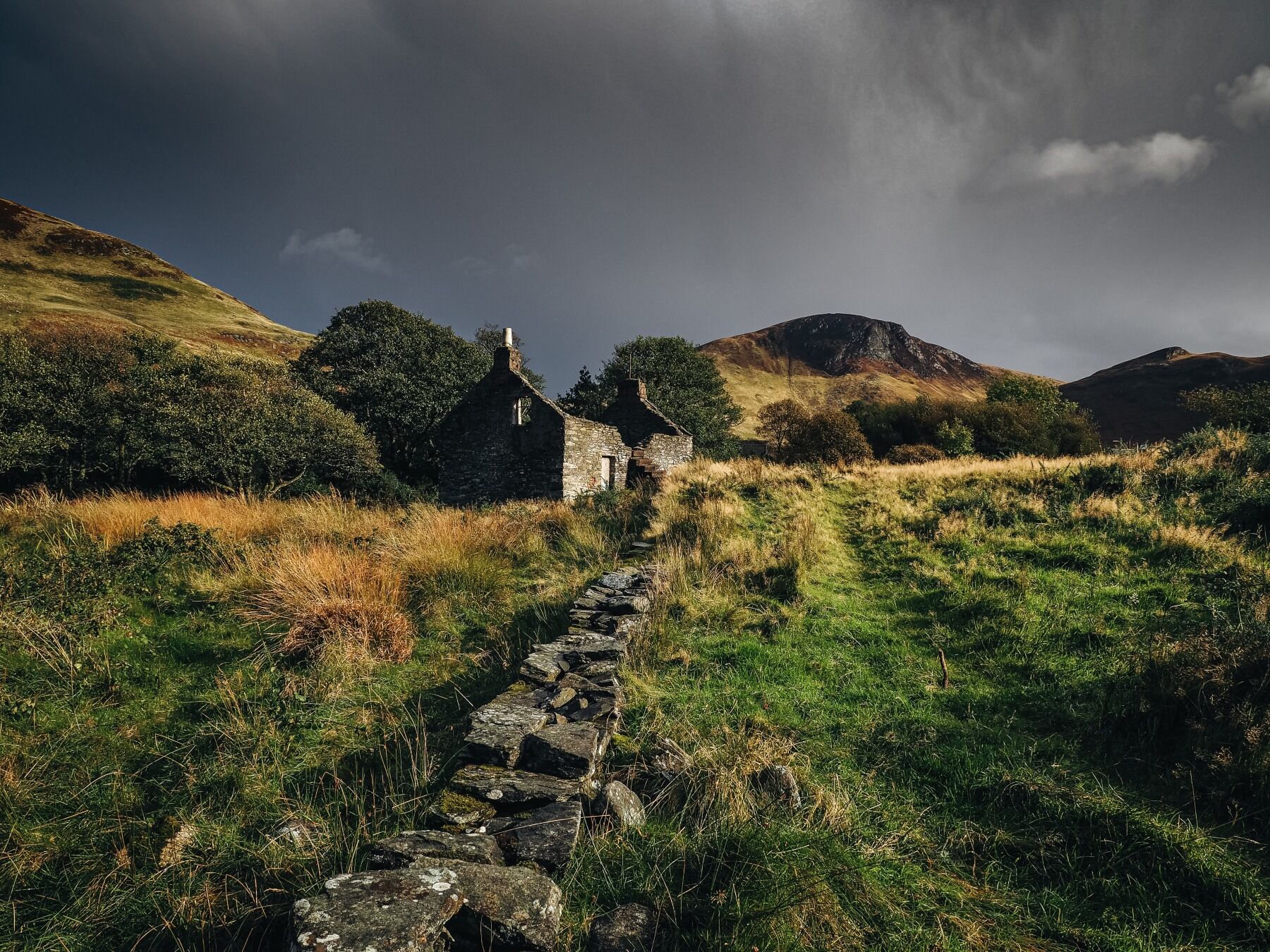 An abandoned cottage set in and amongst greenery in Scotland