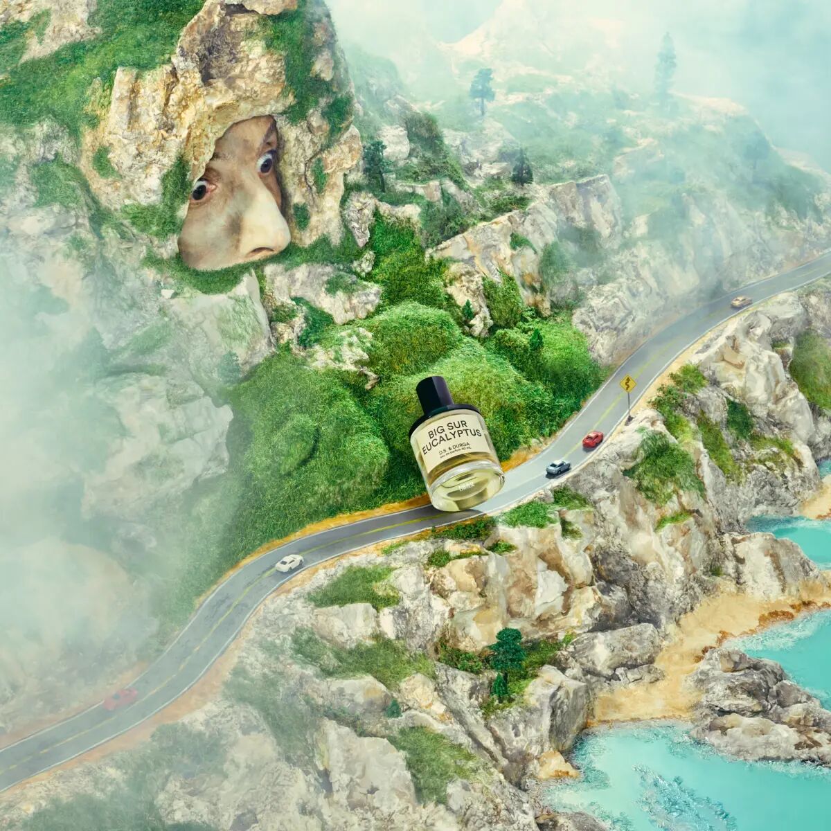 Big Sur Eucalyptus by DS & Durga