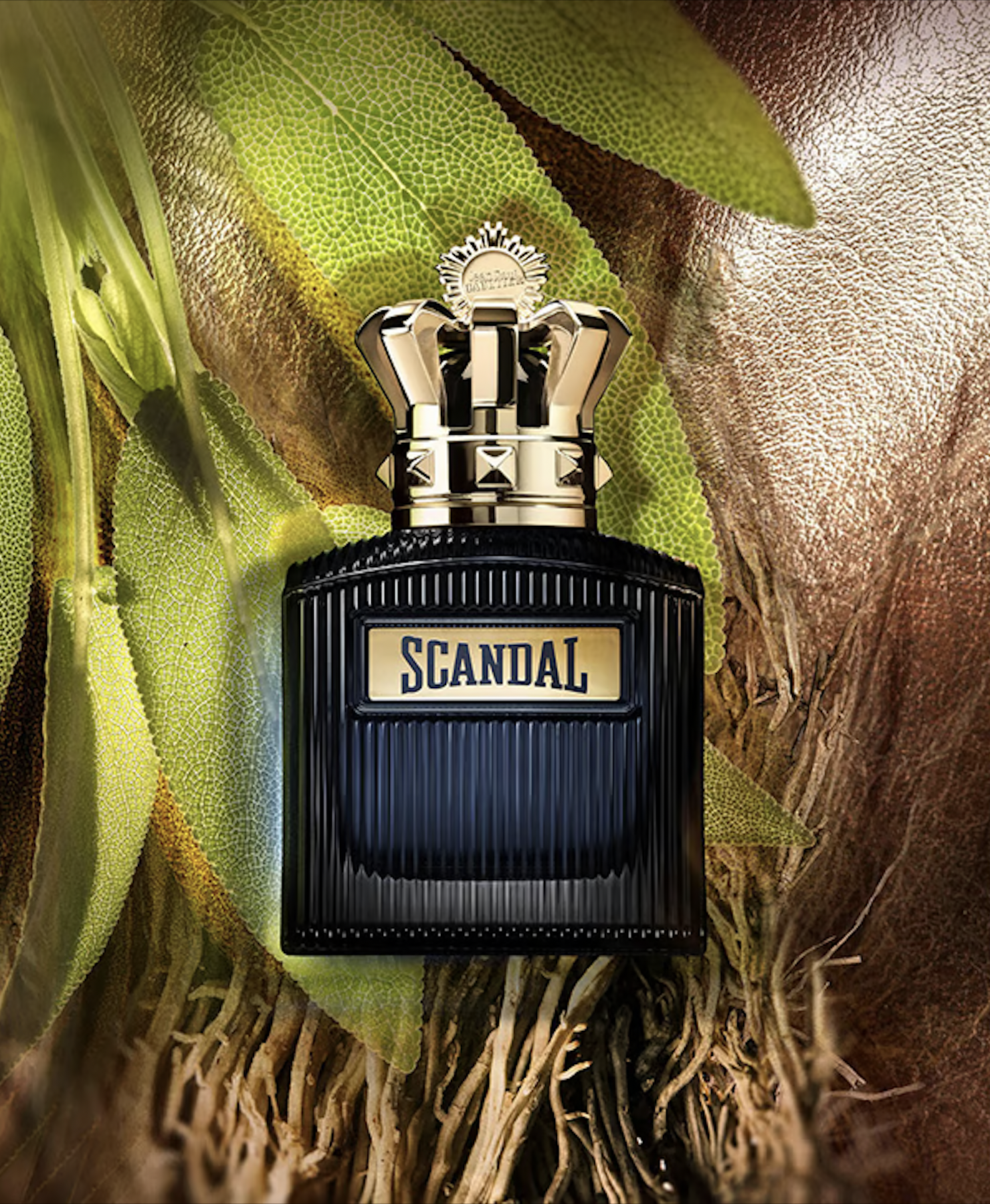 Scandal Intense Scandal Pour Homme Intense Jean Paul Gaultier