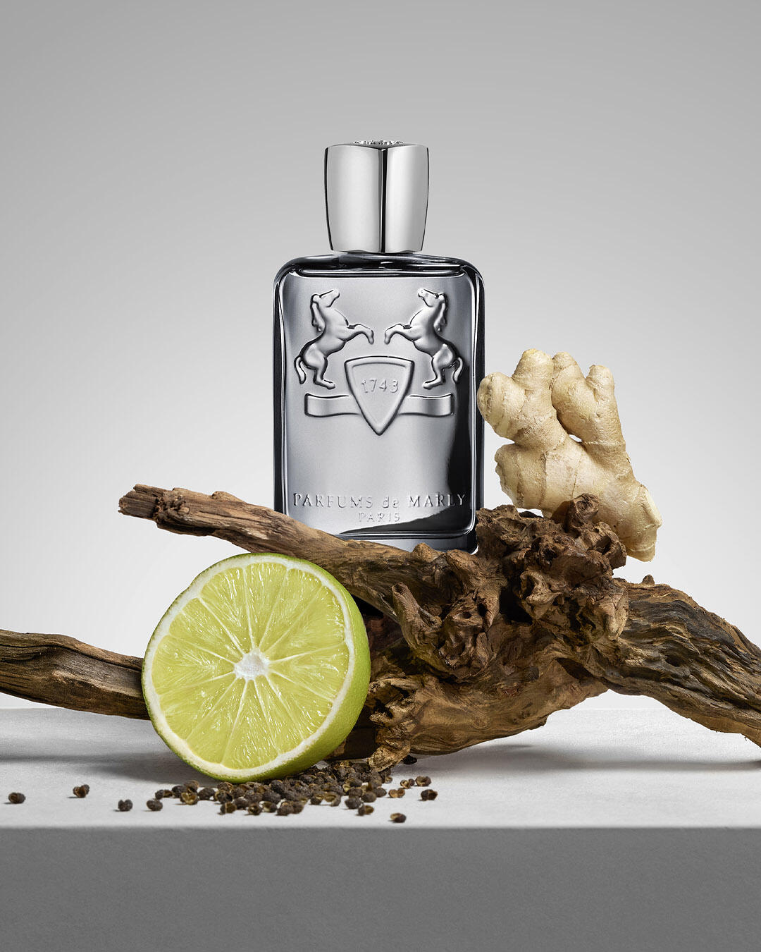 Castley by Parfums de Marly: A Fougère for Our Time
