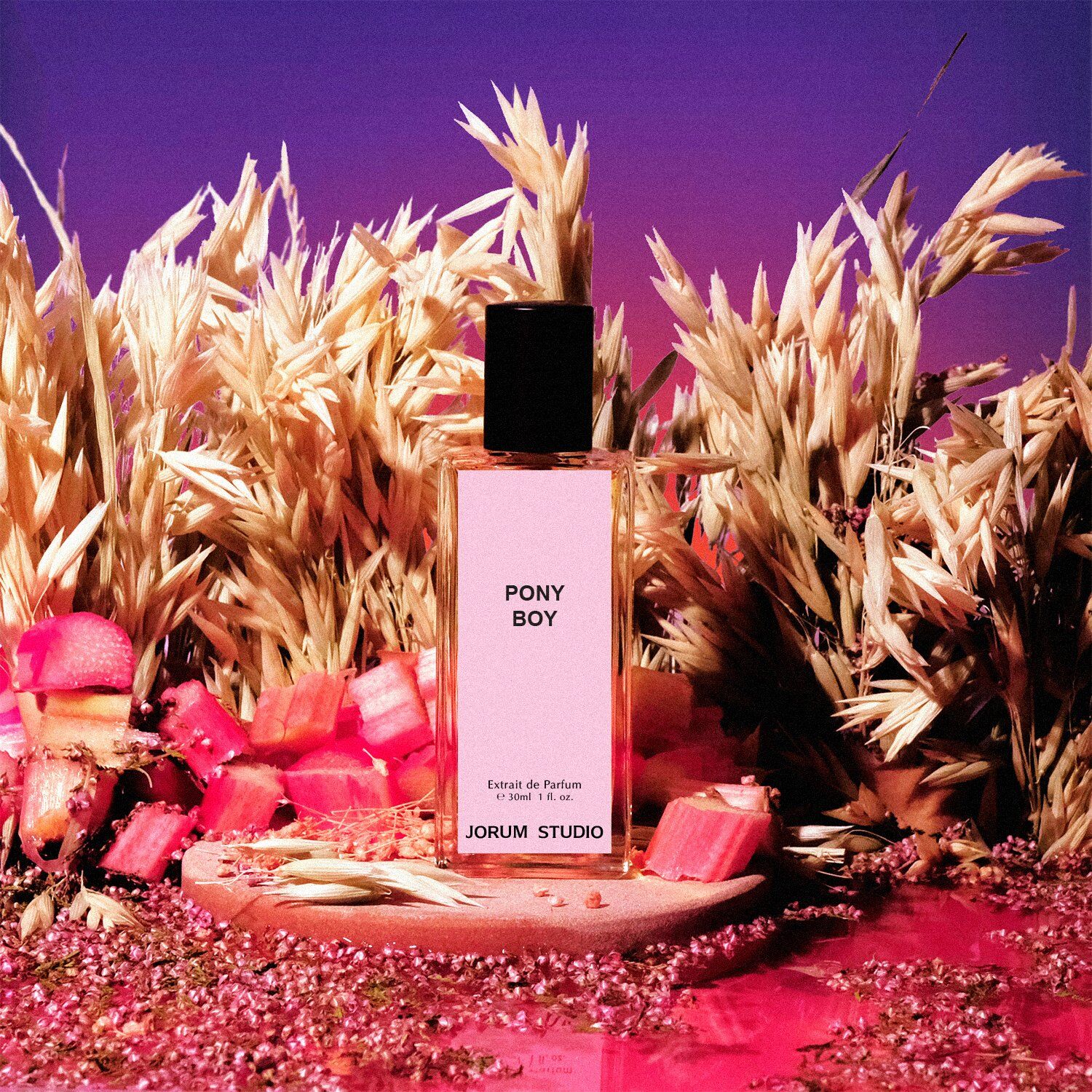 Pony Boy from Jorum Studio set amongst purple and violet colours with plants to contrast