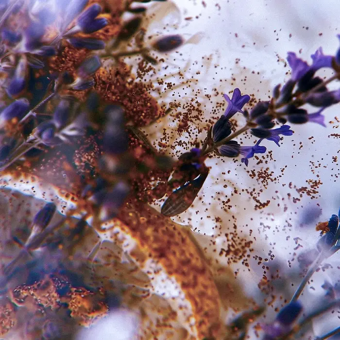 Chiaroscuro by Dr. Vranjes ad image