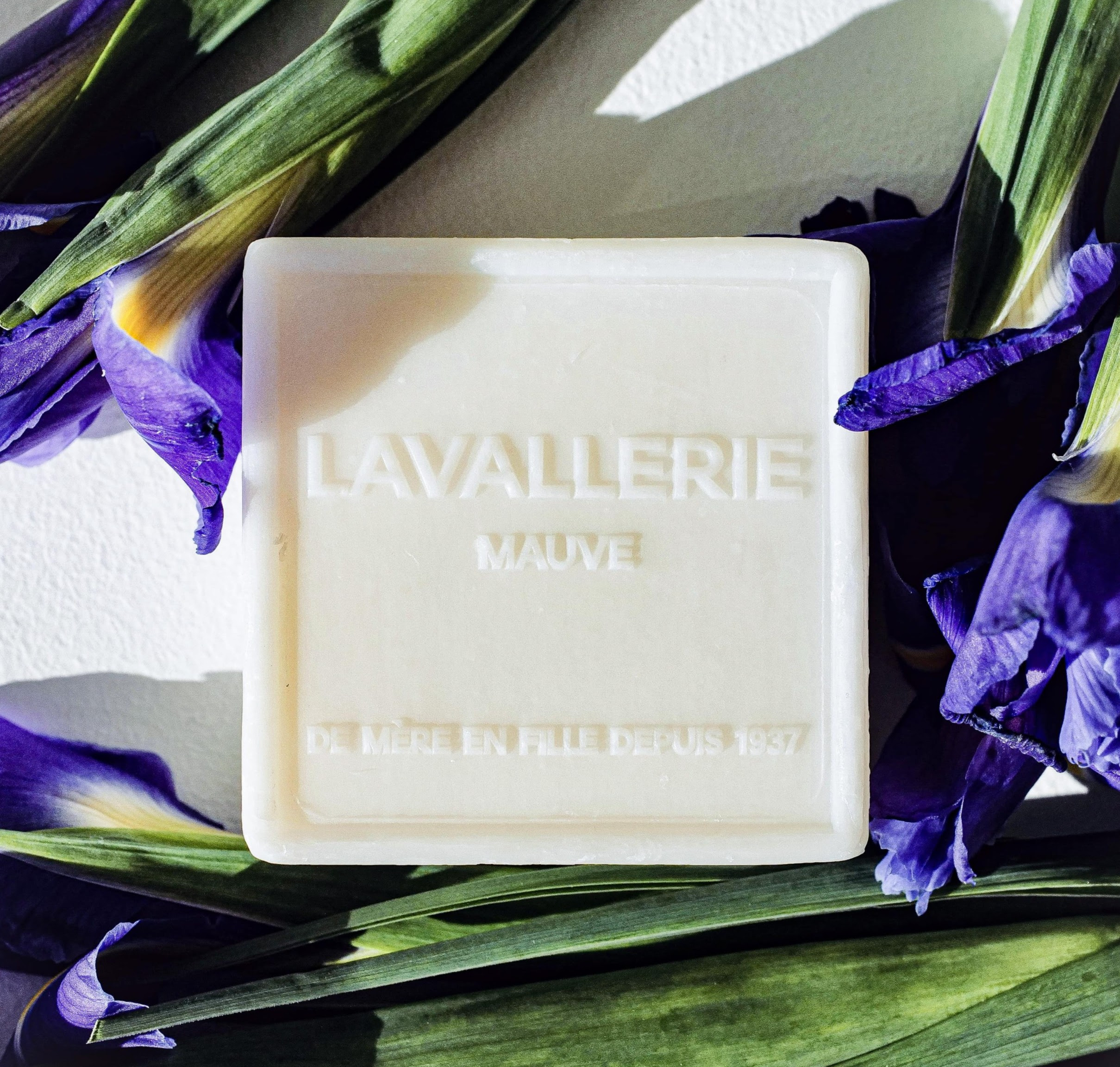 lavallerie mauve