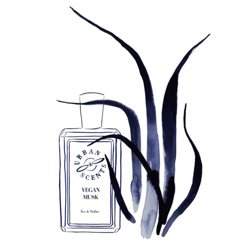 vegan musk urban scents