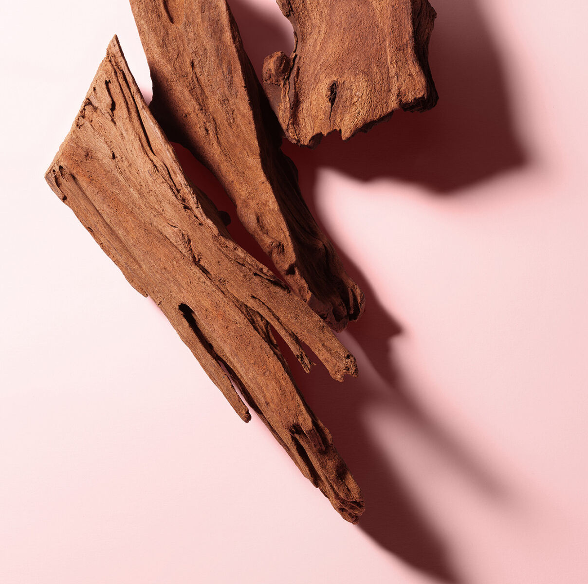 Dolce & Gabbana L'Imperatrice Royale