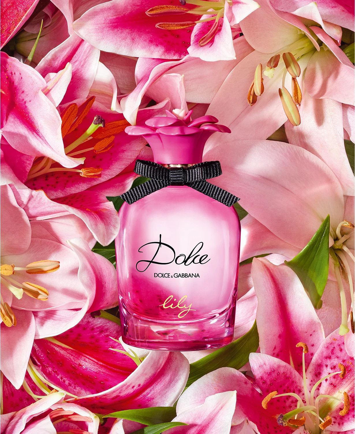 Dolce & Gabbana Dolce Lily ~ New Fragrances