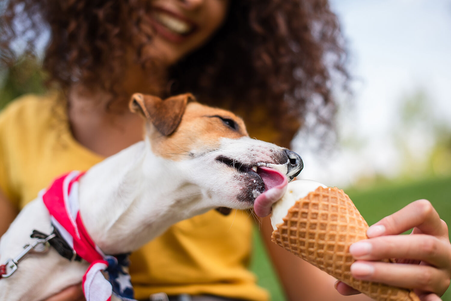ice cream