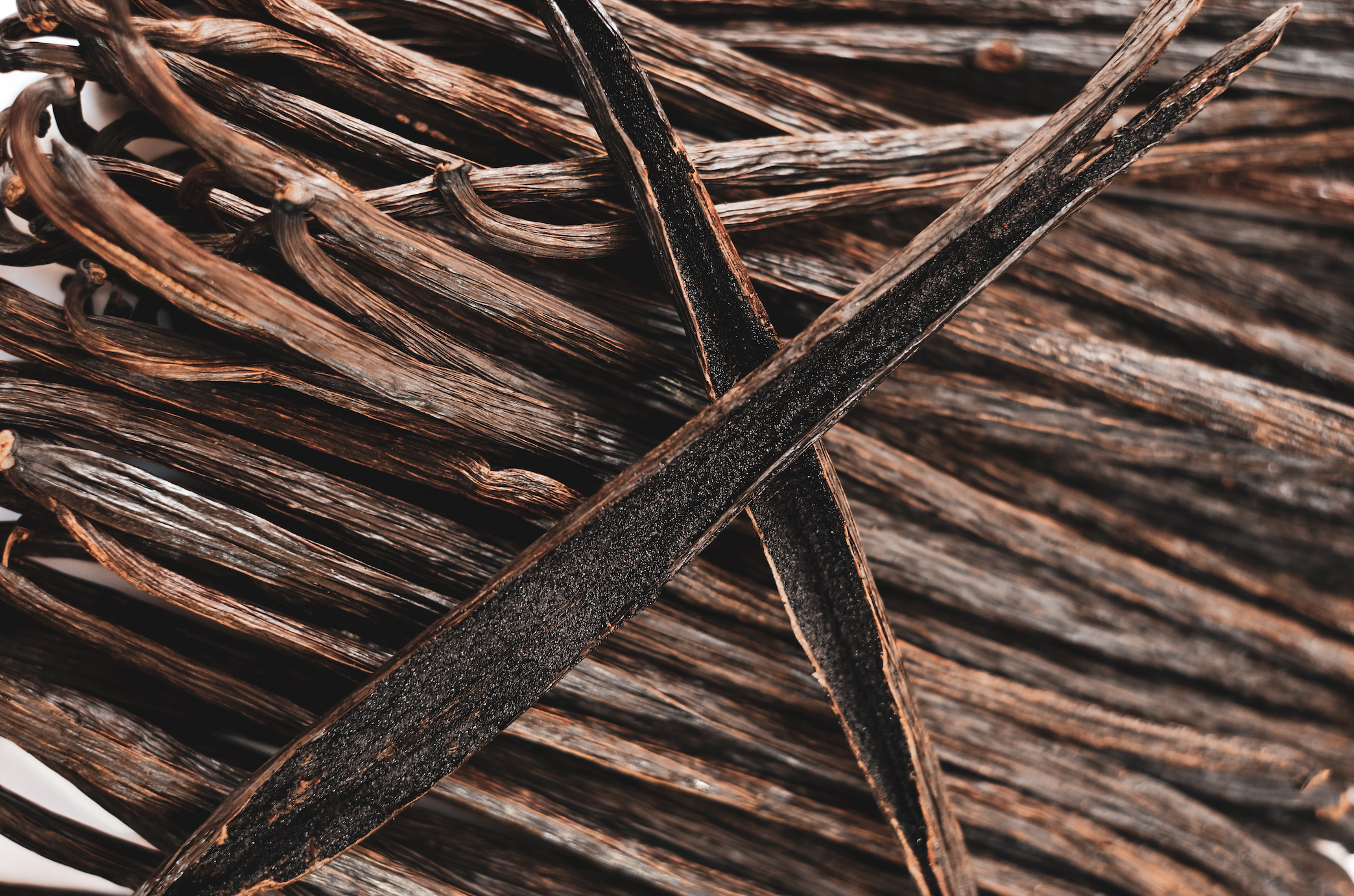 Perfumer Sophie Labbé on Ambre Saba: Ambergris, Warm Amber, and DSM-Firmenich Captives 