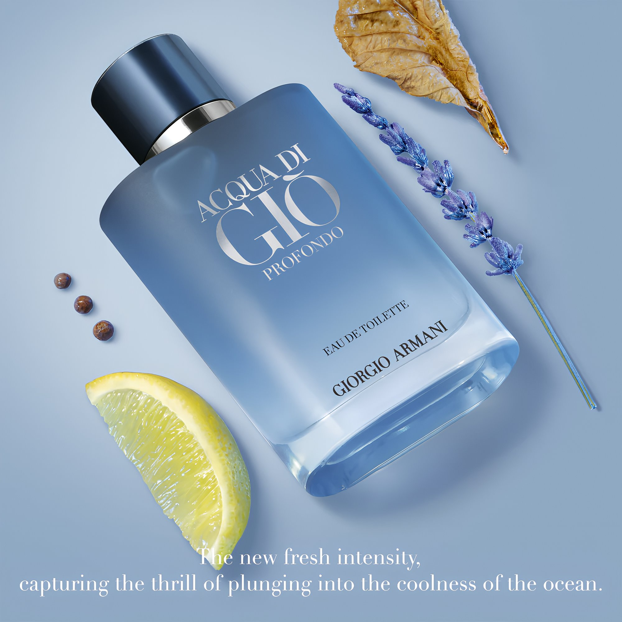 Giorgio Armani Acqua di Giò Profondo Eau de Toilette