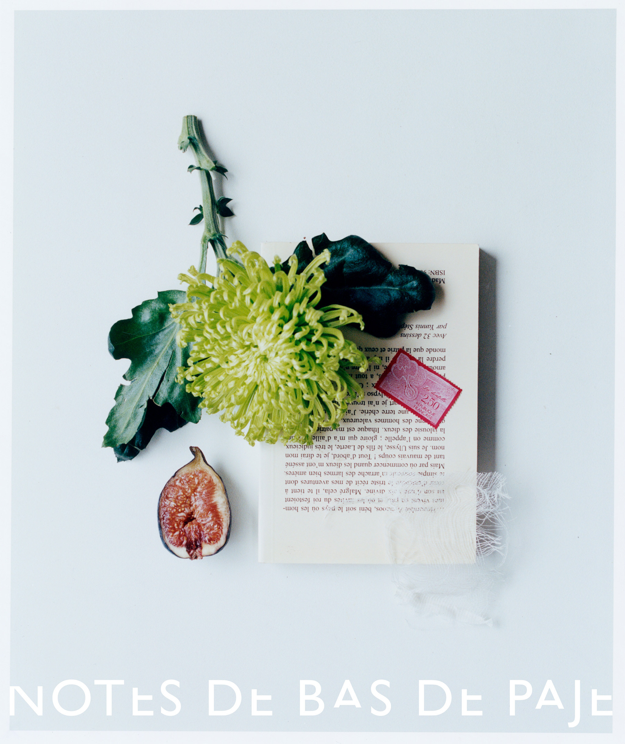 Notes de Bas de Page ad photo