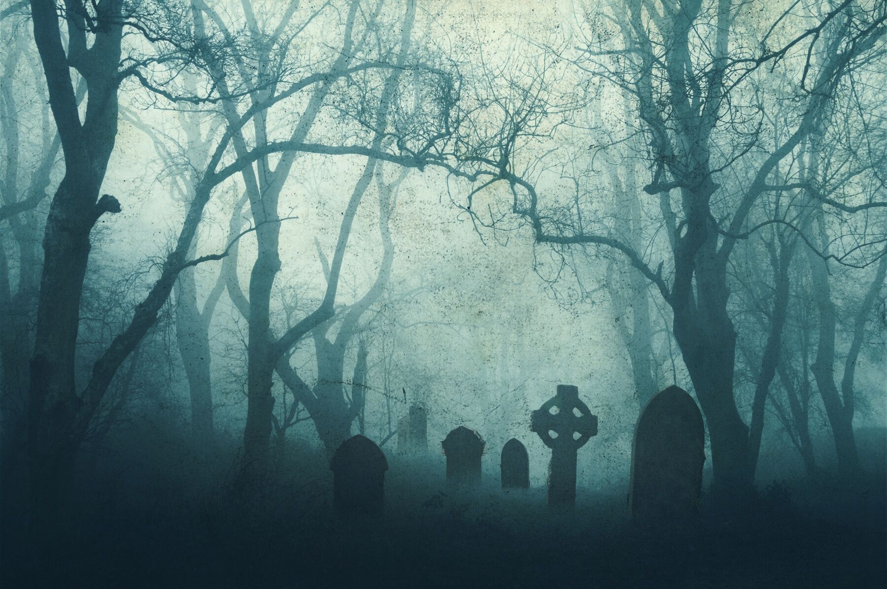 A grave yard in mist with graves showing under trees