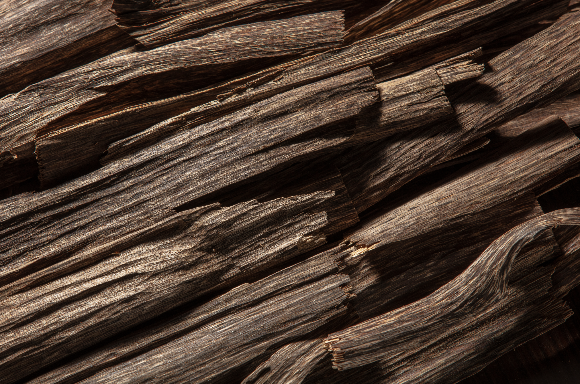 Timber – Amouage’s Everyday Opus?