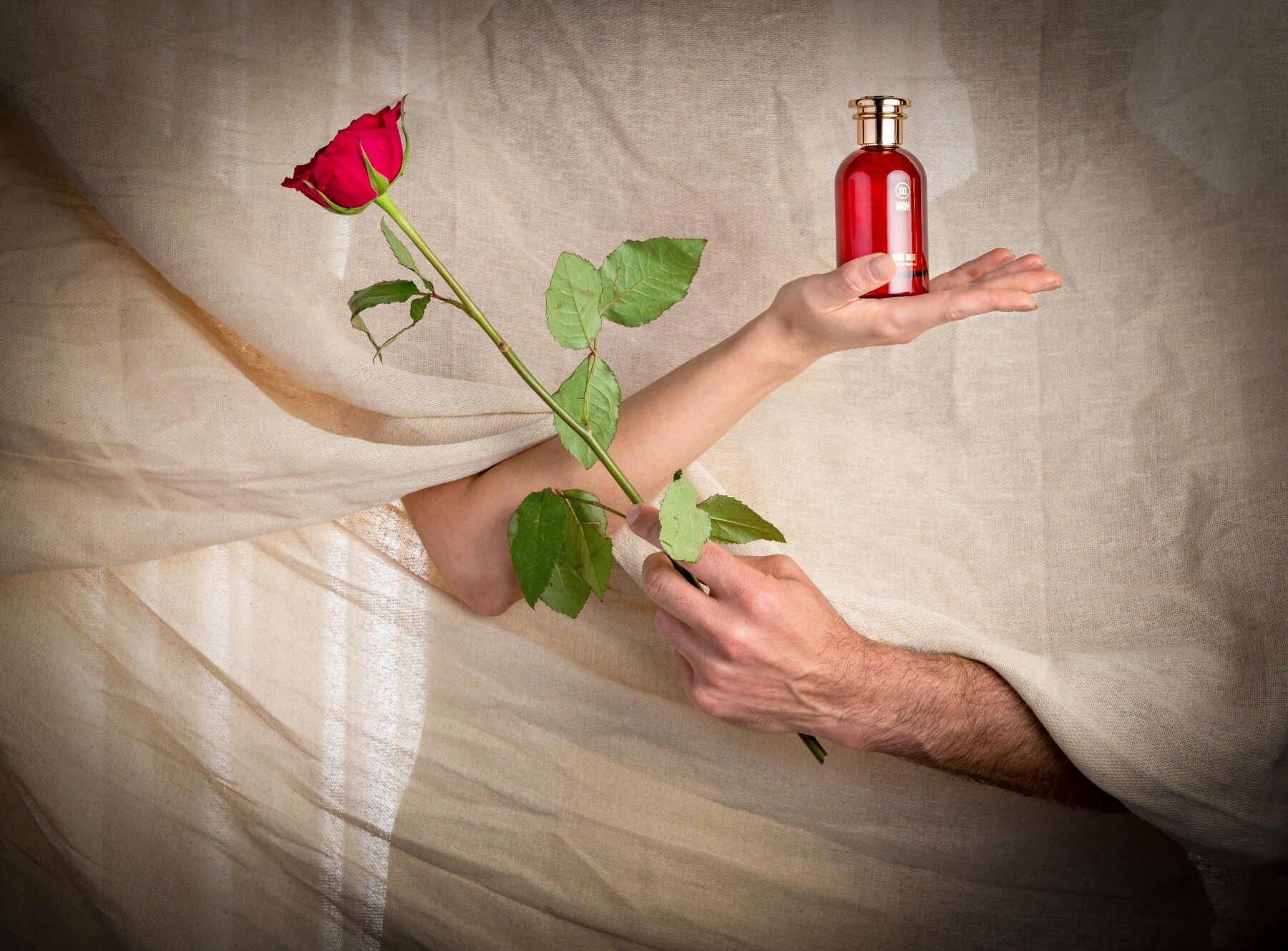 A male and a female arm poking through a beige curtain holding a rose and a bottle of perfume