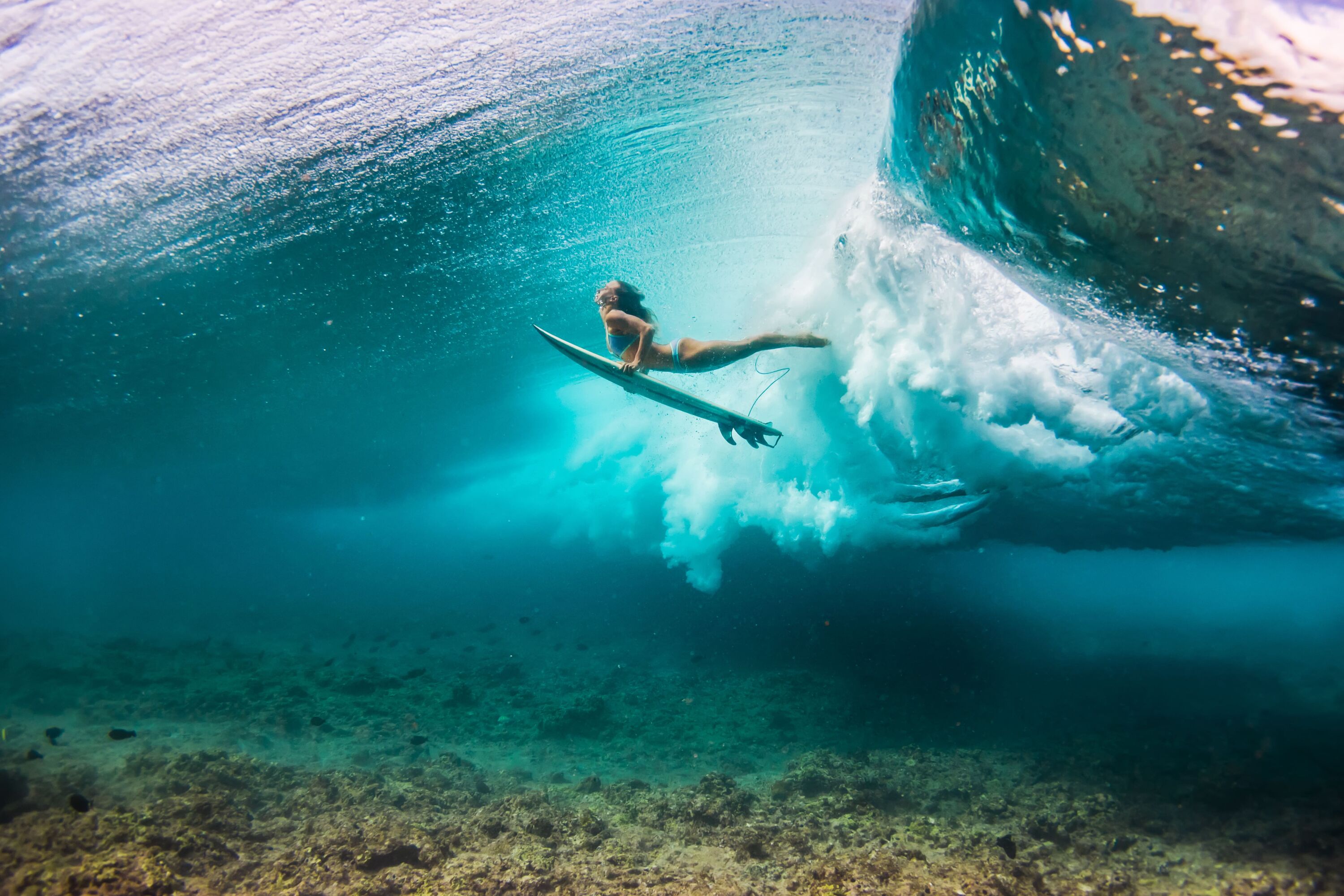 Surfing