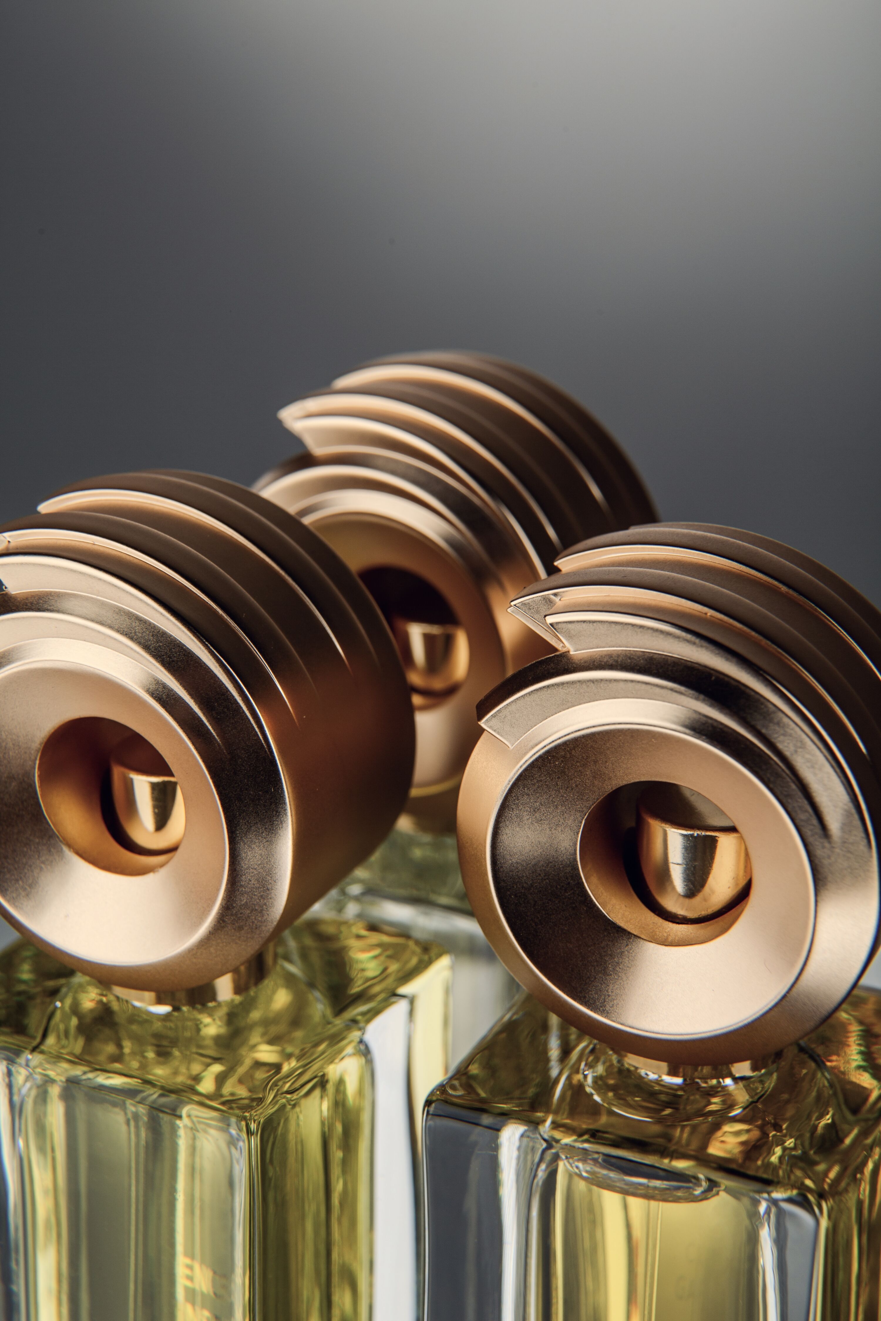 Aphorismes by Dominique Ropion