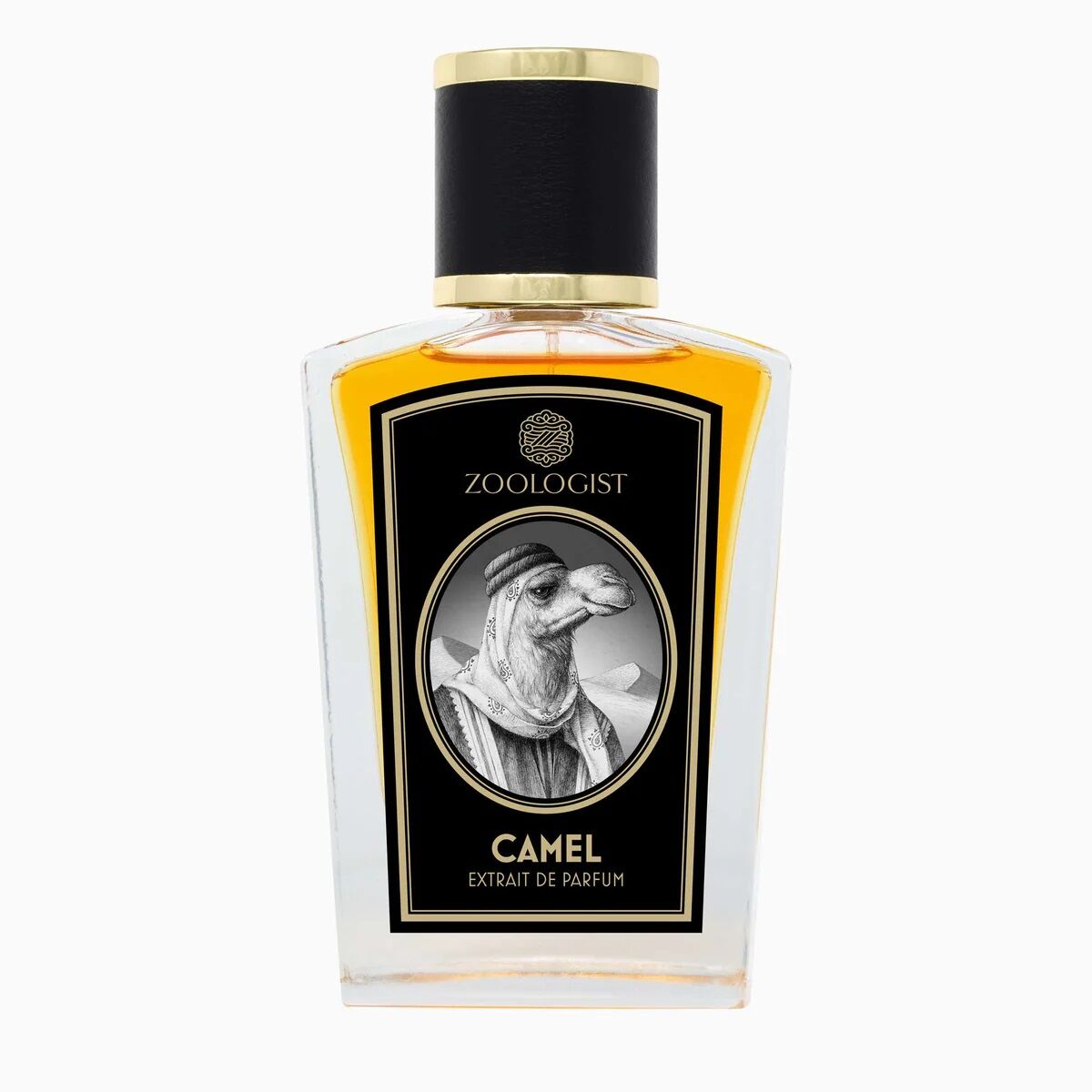 camel zoologist