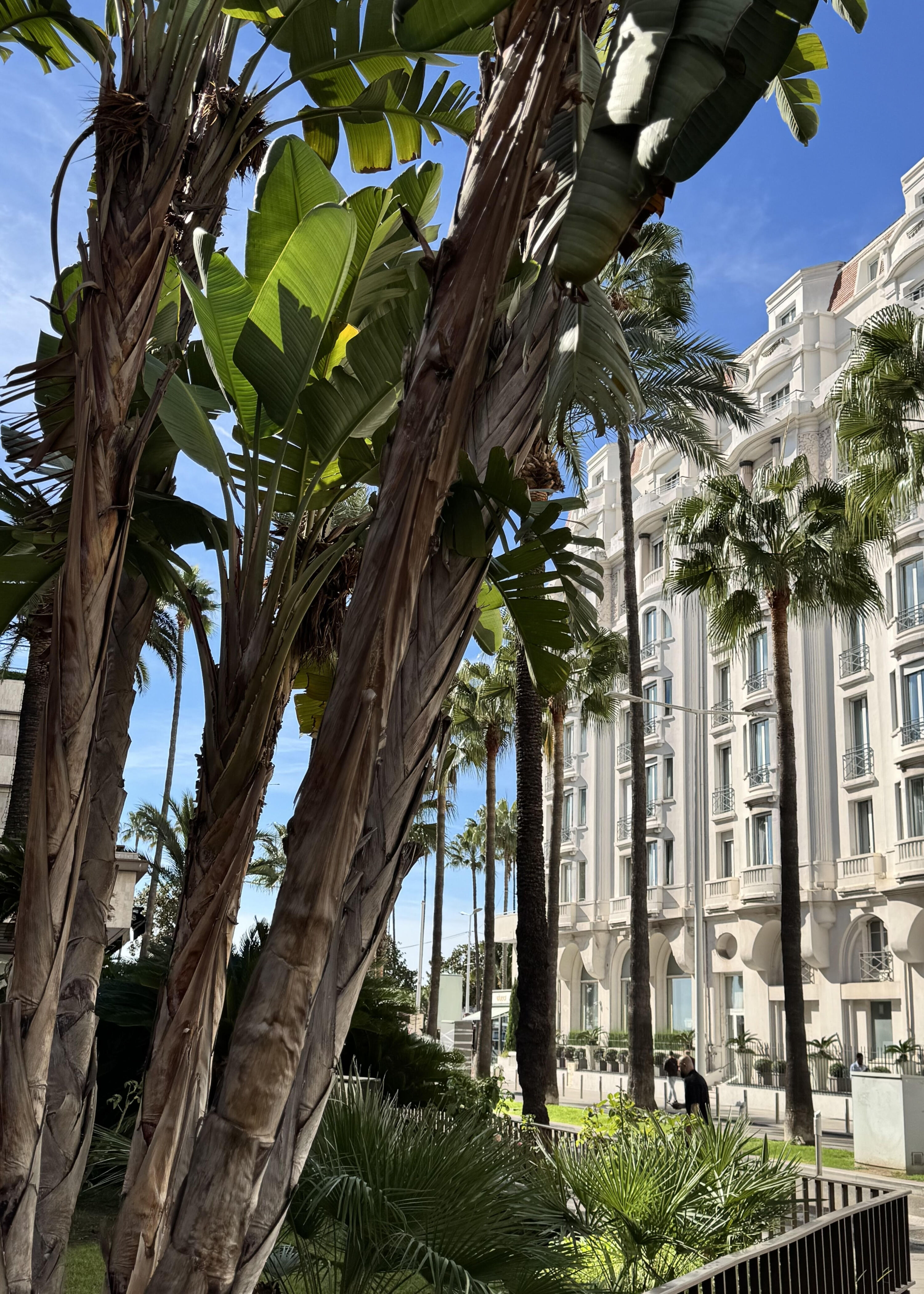 cannes france