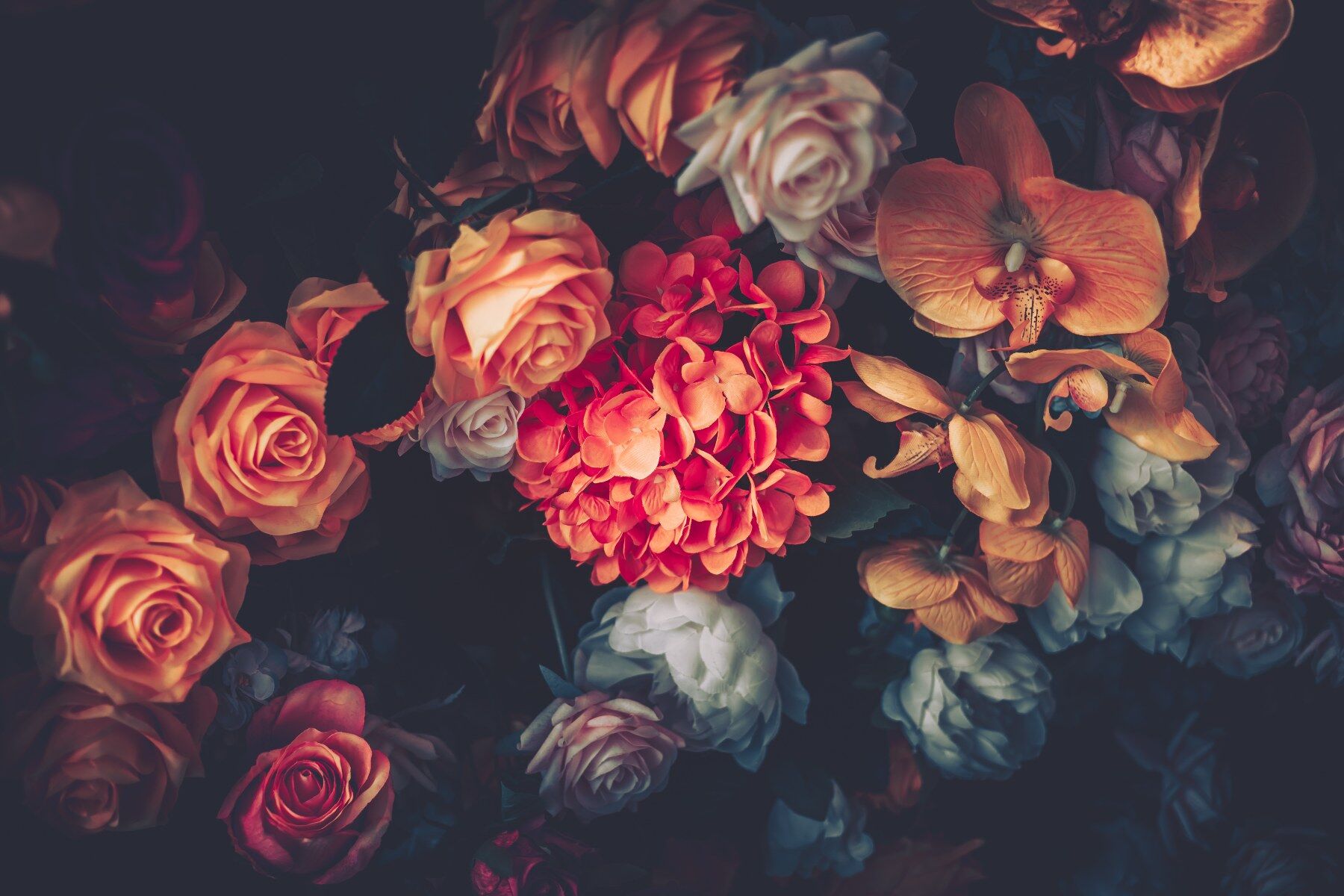 Luxurious looking flowers on a black background