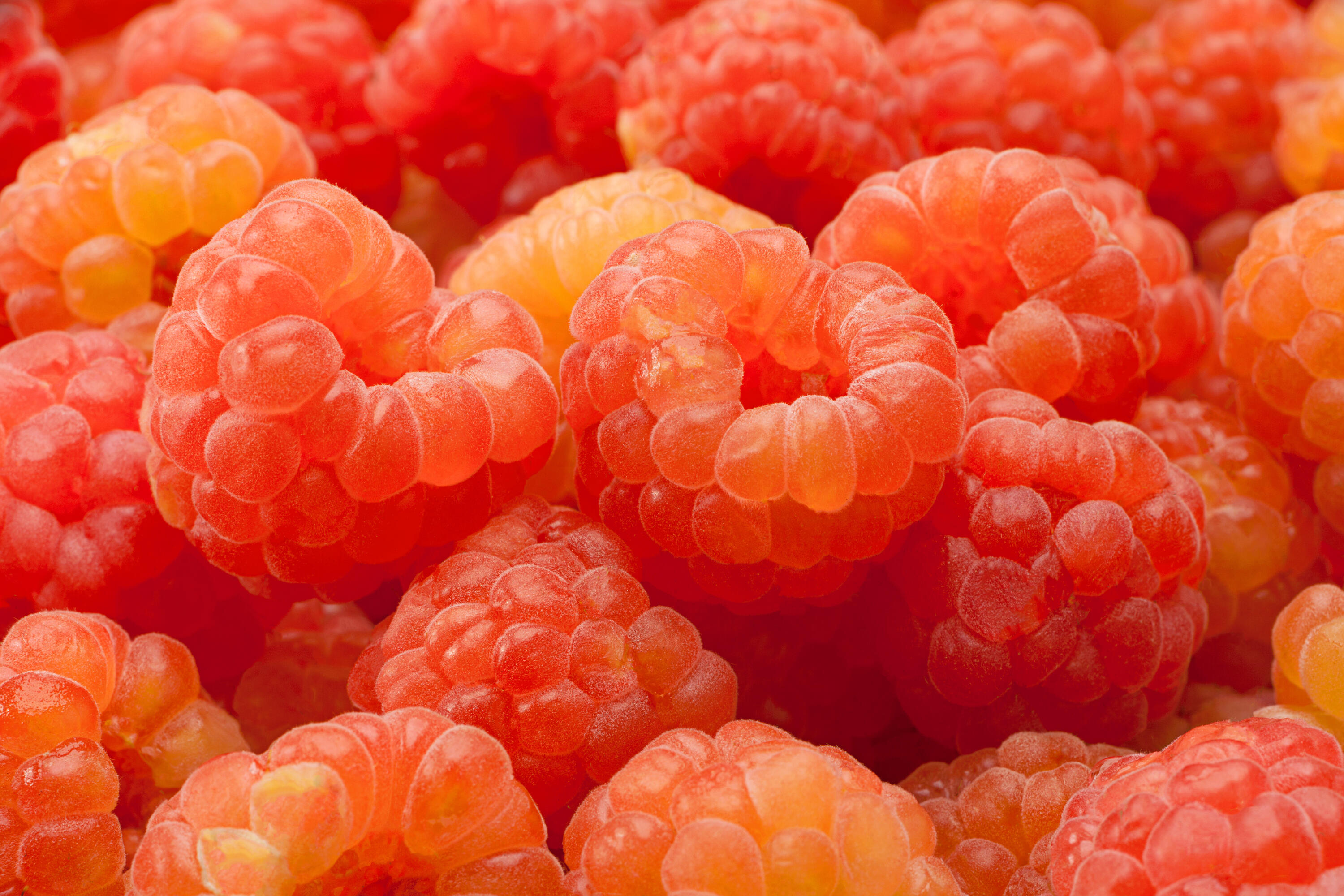 Raspberry Like Raspberry and Blackberry in Perfumery ~ Raw Materials