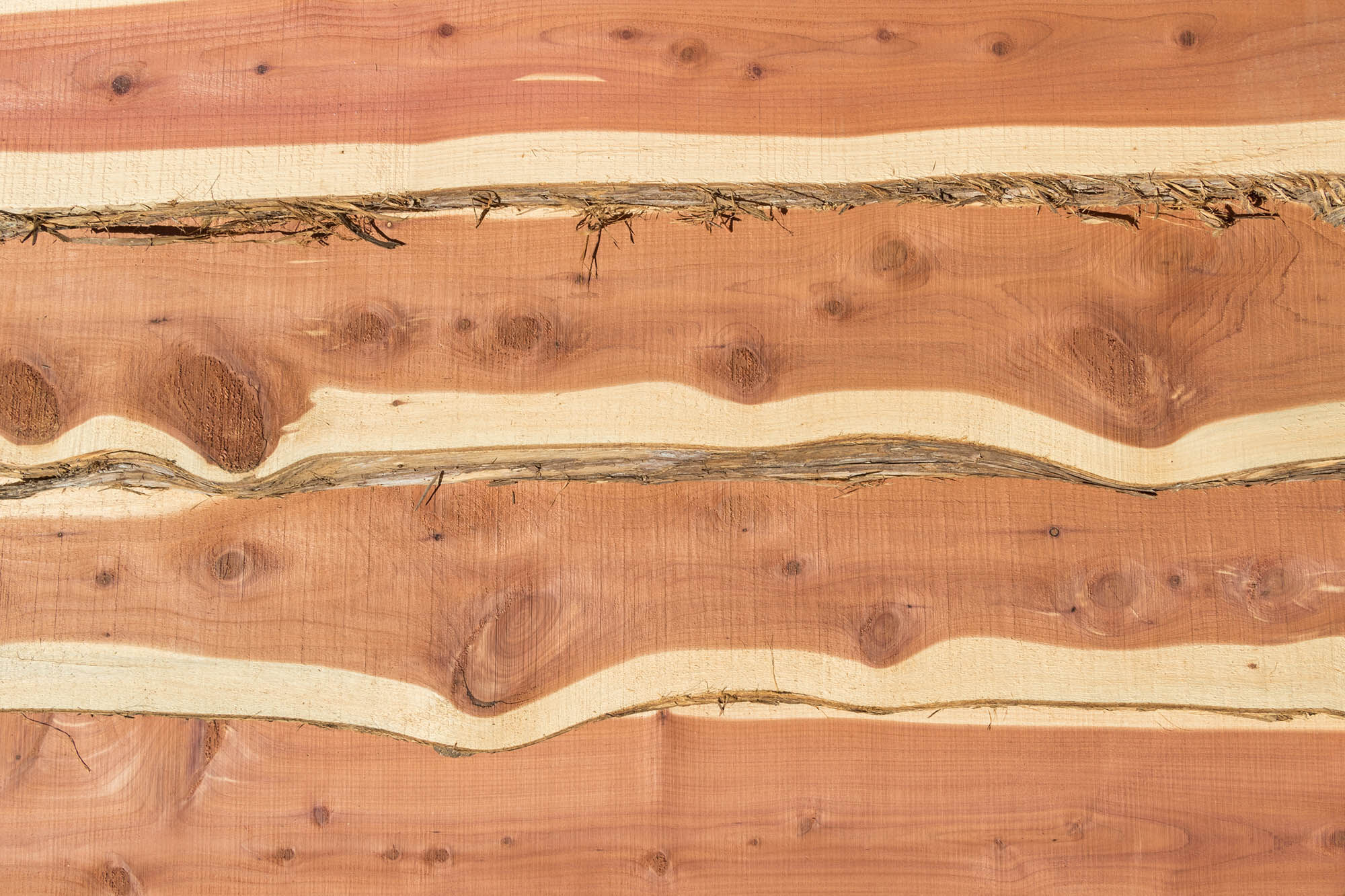 Cedarwood.