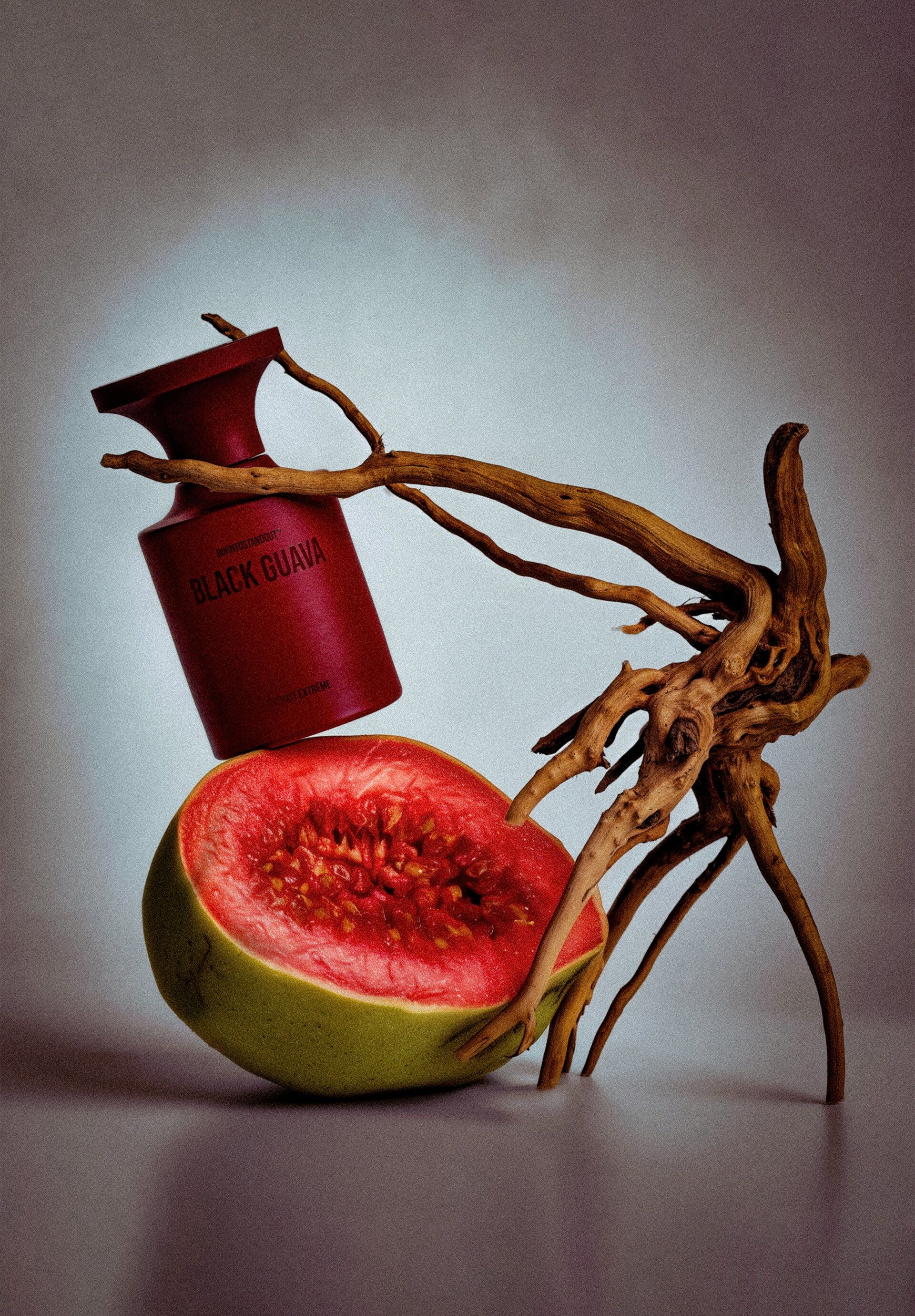 btso black guava