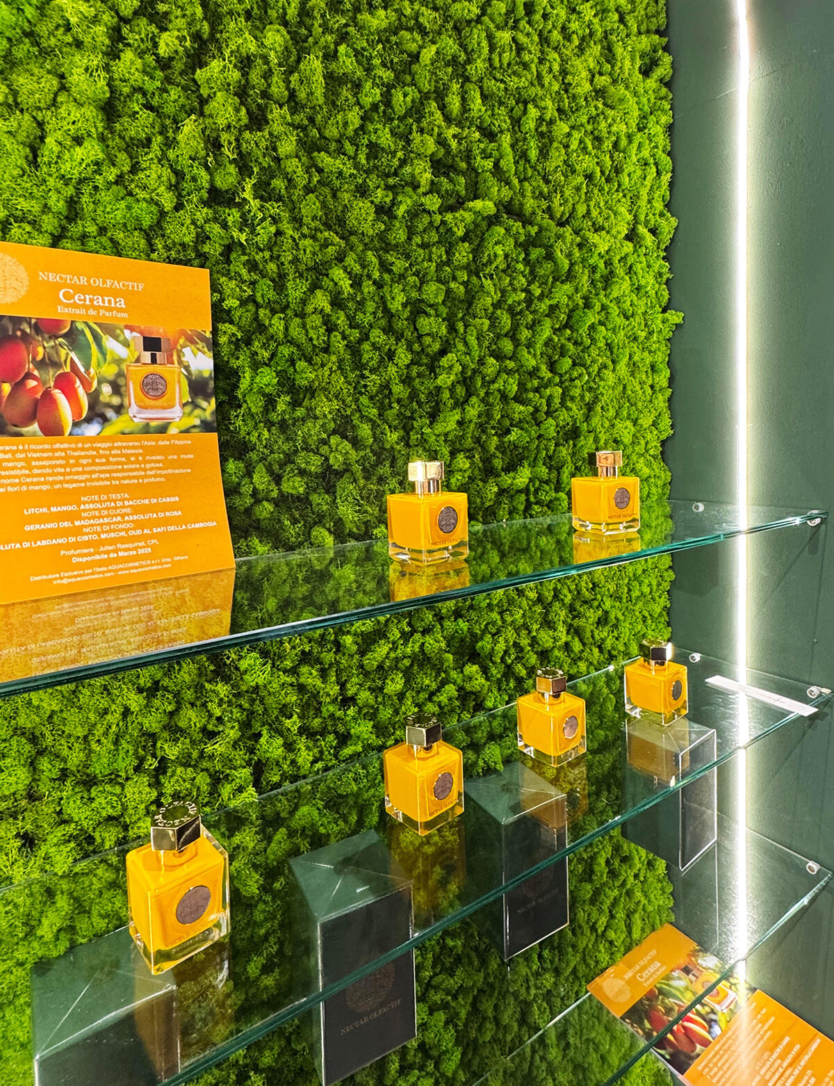 NECTAR OLFACTIF Ambre Cristal and Cerana