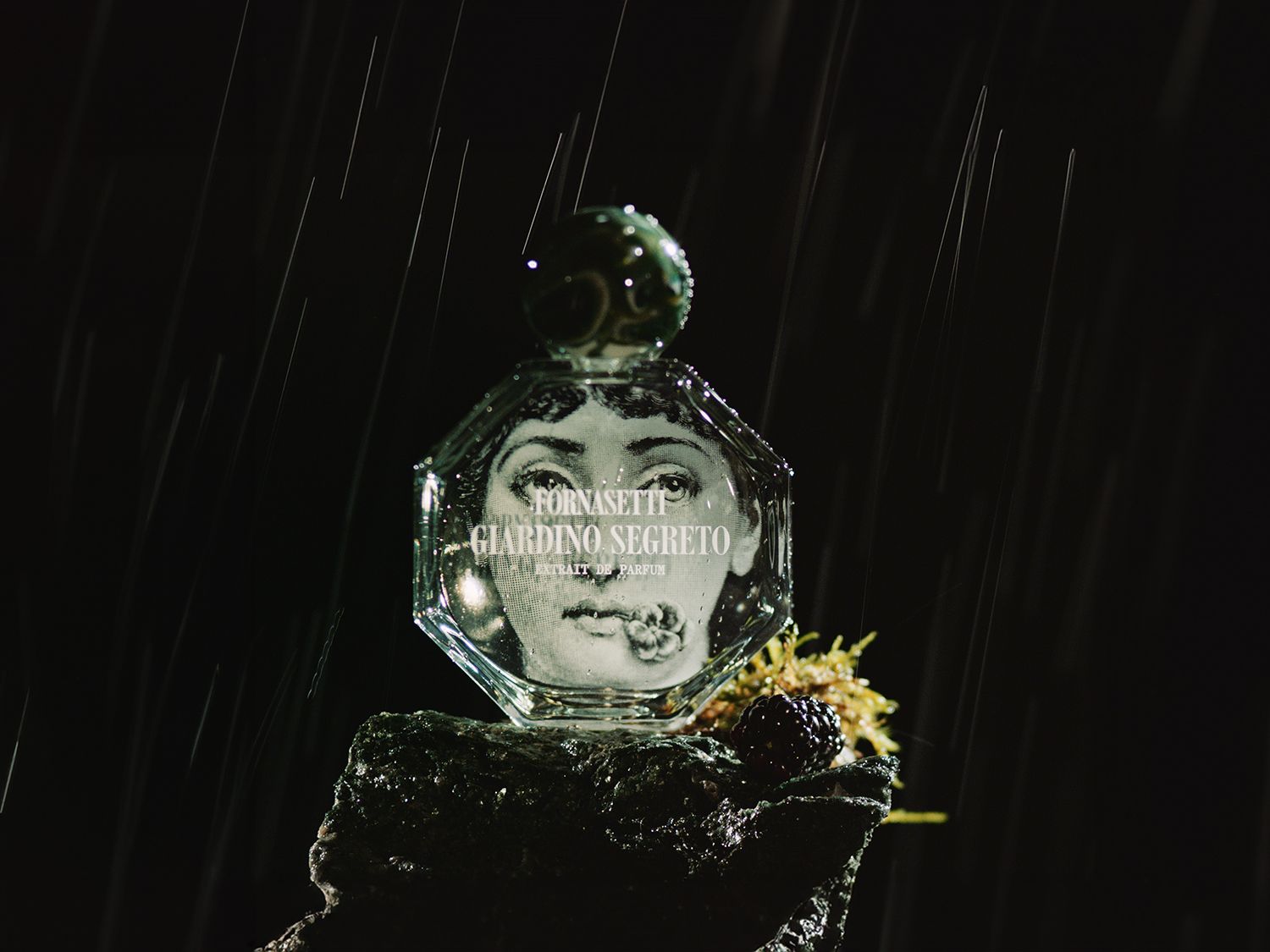 fornasetti giardino segreto