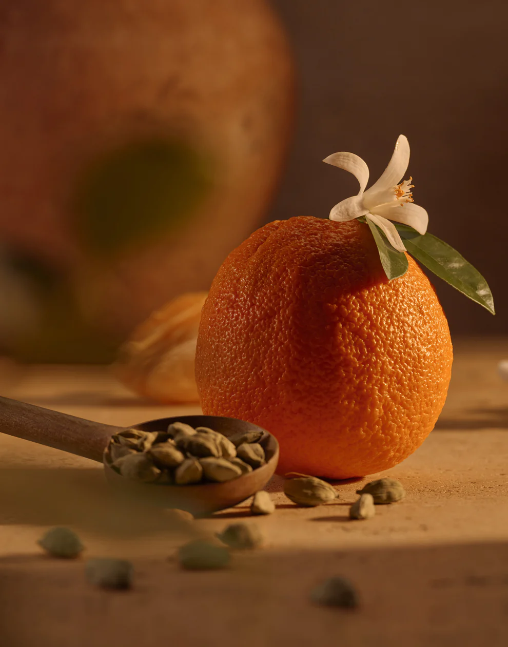 Neroli Bronze by Whind ad photo