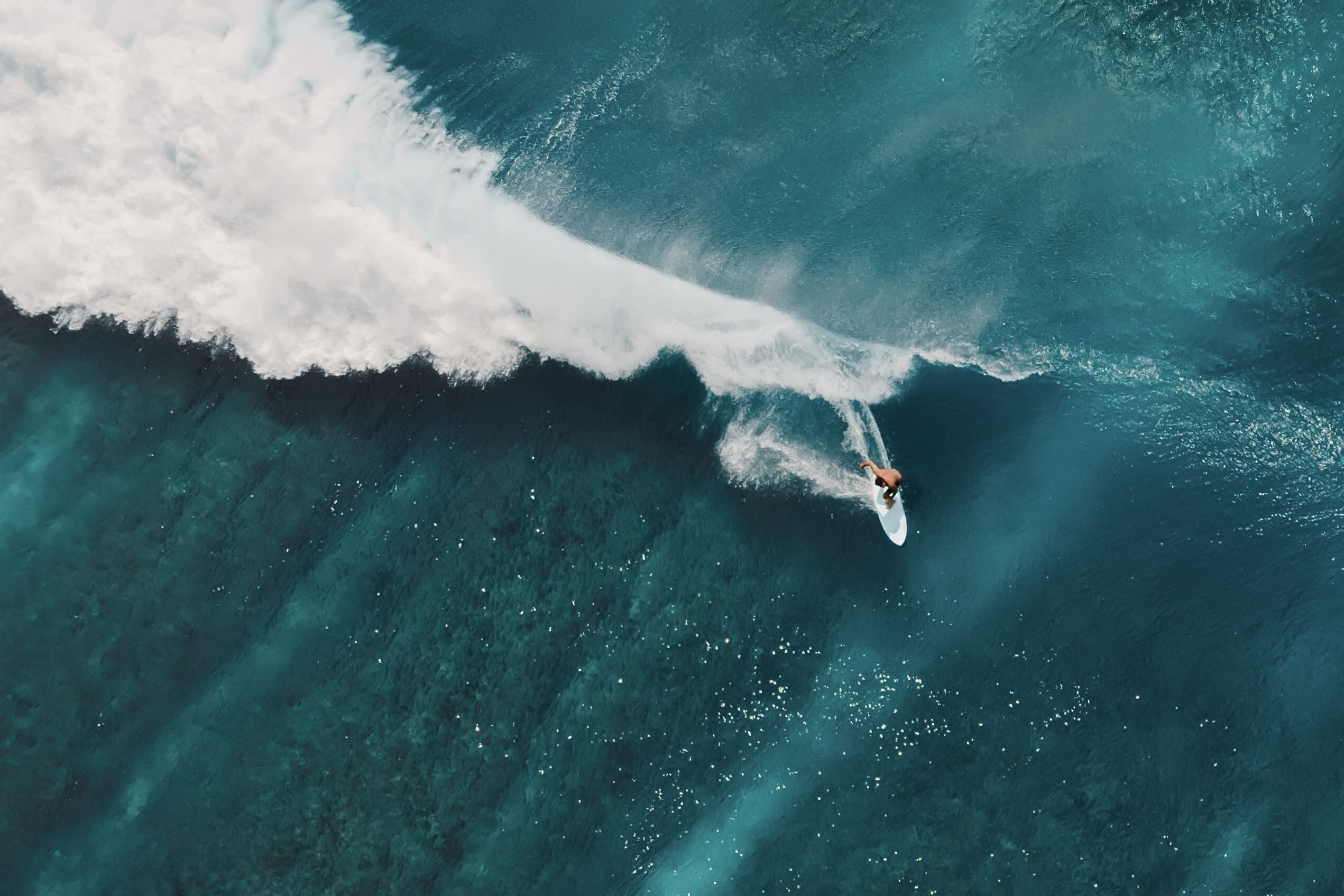 Surfing