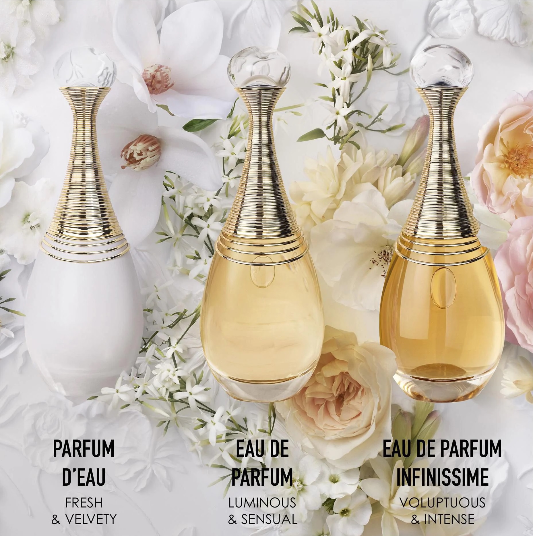 Chia sẻ hơn 58 về parfum dior j adore femme mới nhất - cdgdbentre.edu.vn