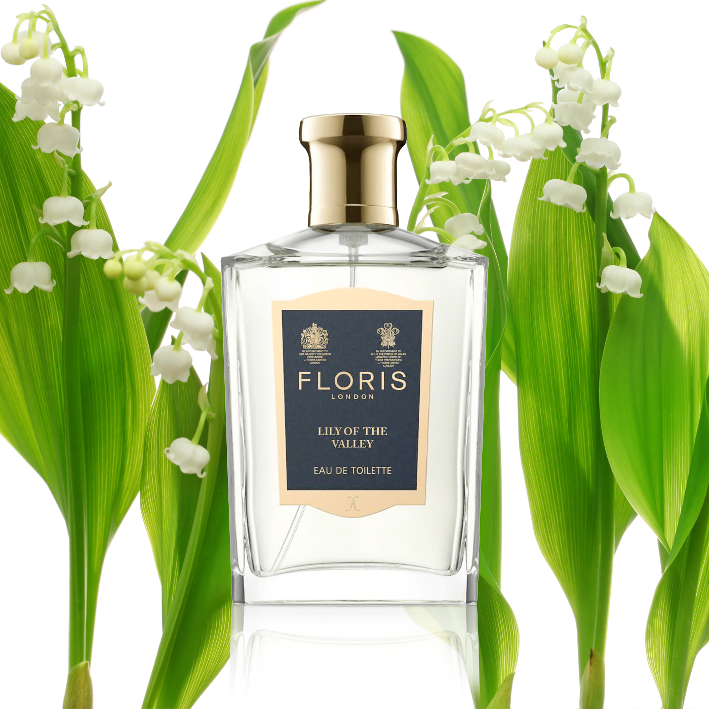 Lily of the online valley floris